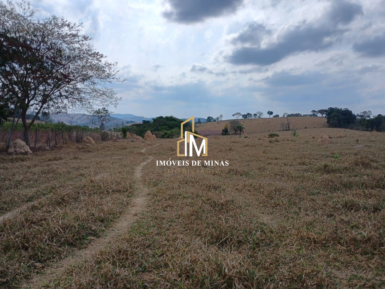 Fazenda à venda com 3 quartos, 7800000000m² - Foto 3