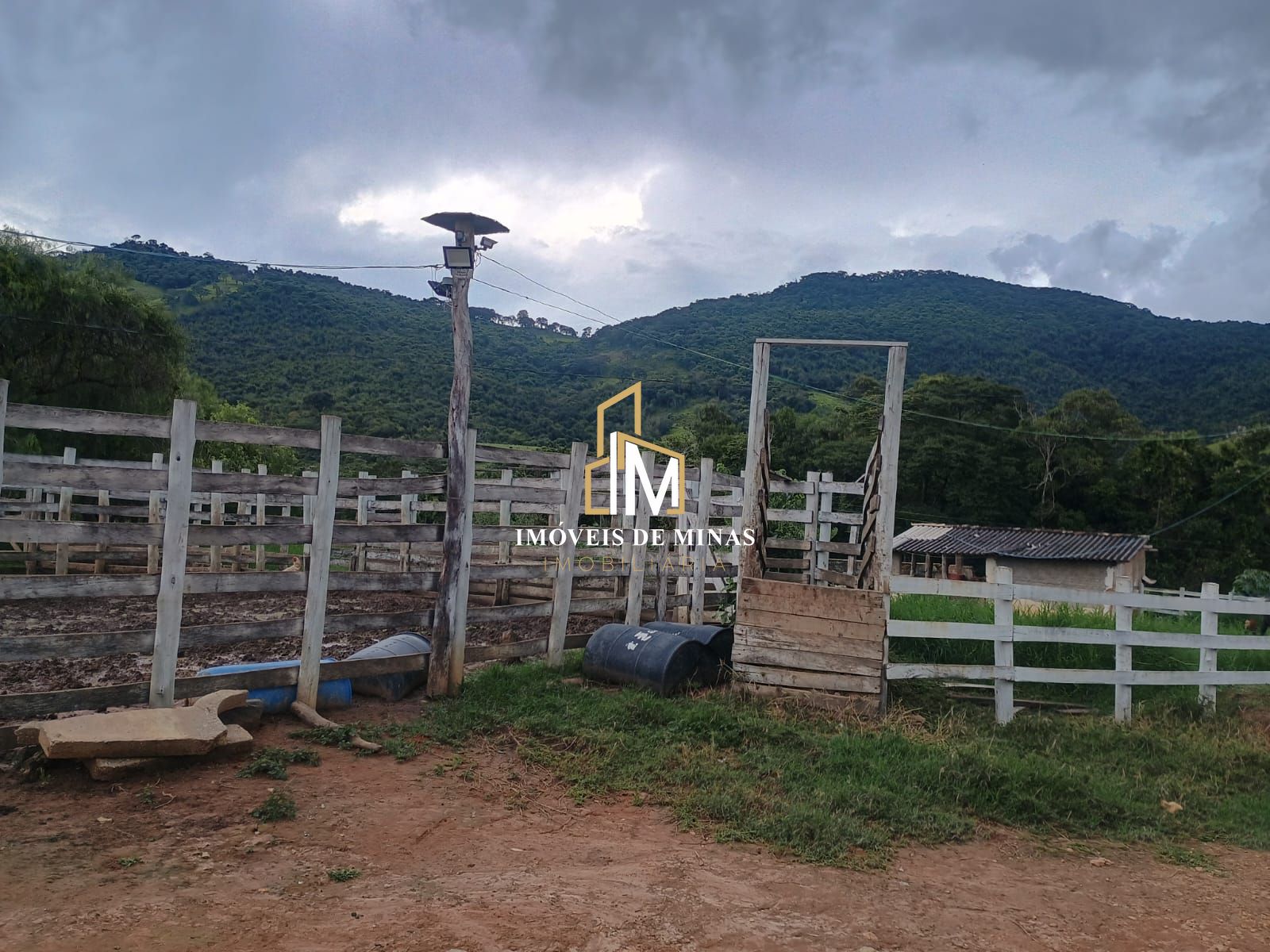 Fazenda à venda com 3 quartos, 310000m² - Foto 9