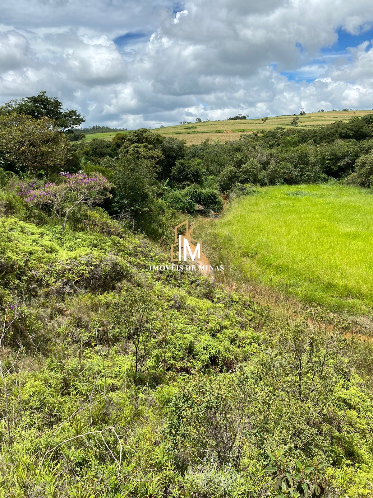 Terreno à venda, 1000m² - Foto 3