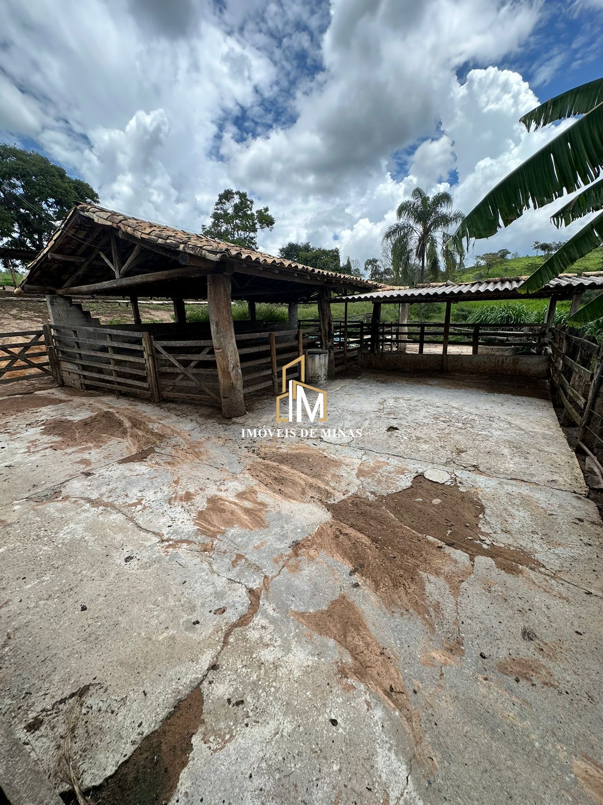 Fazenda à venda com 4 quartos, 1500000000m² - Foto 28