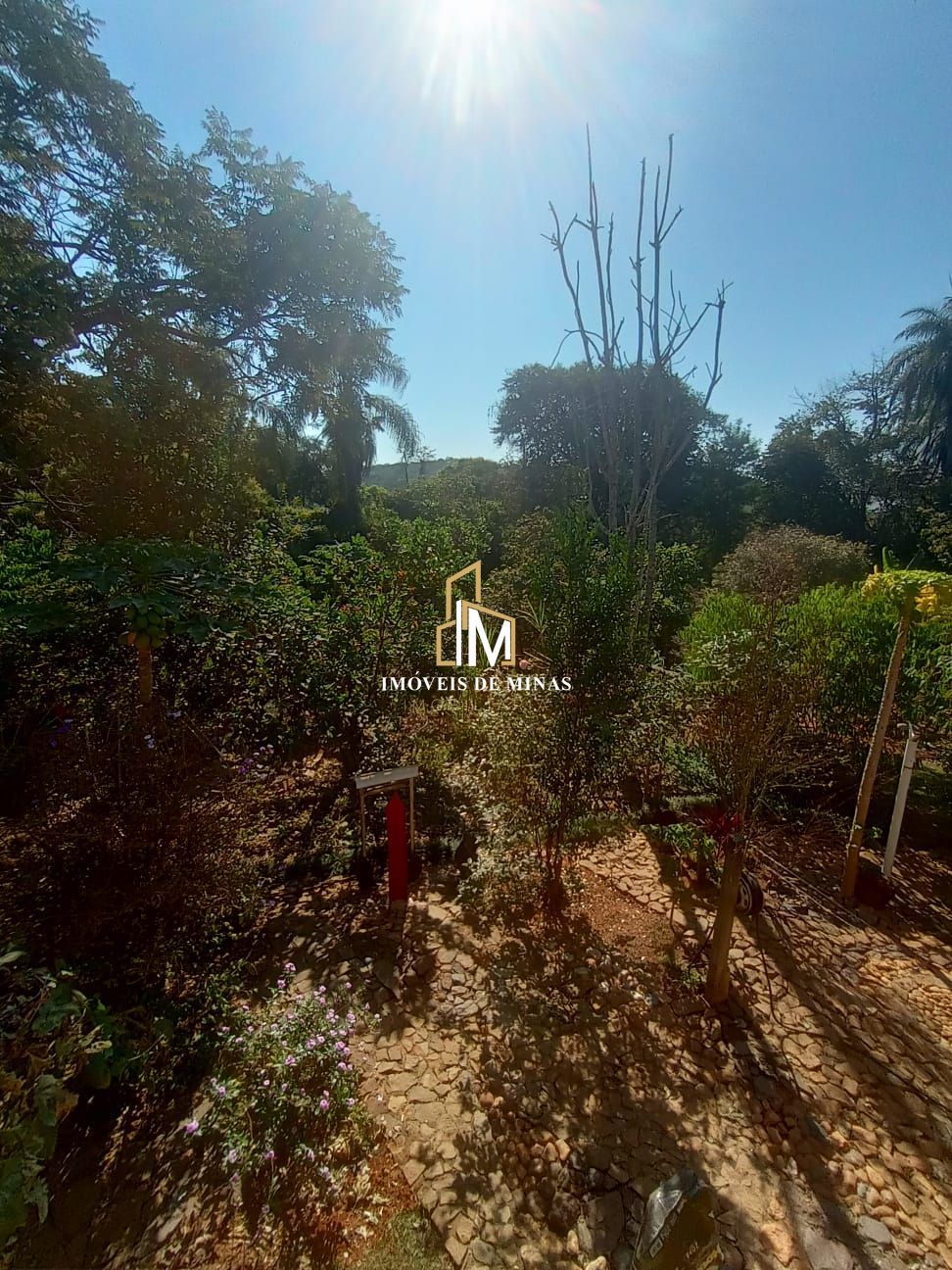 Sítio à venda com 3 quartos, 1100m² - Foto 17
