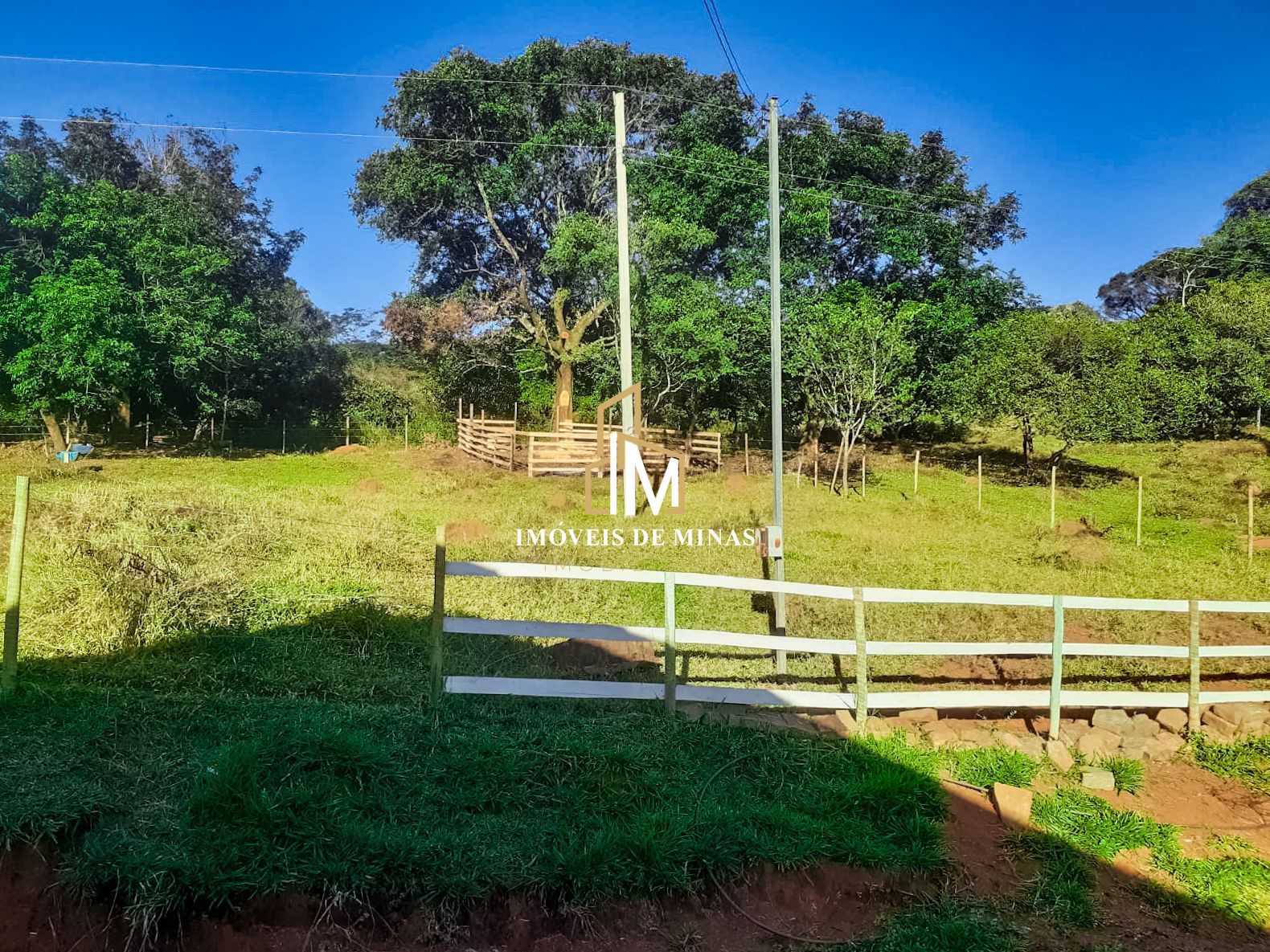 img63433714