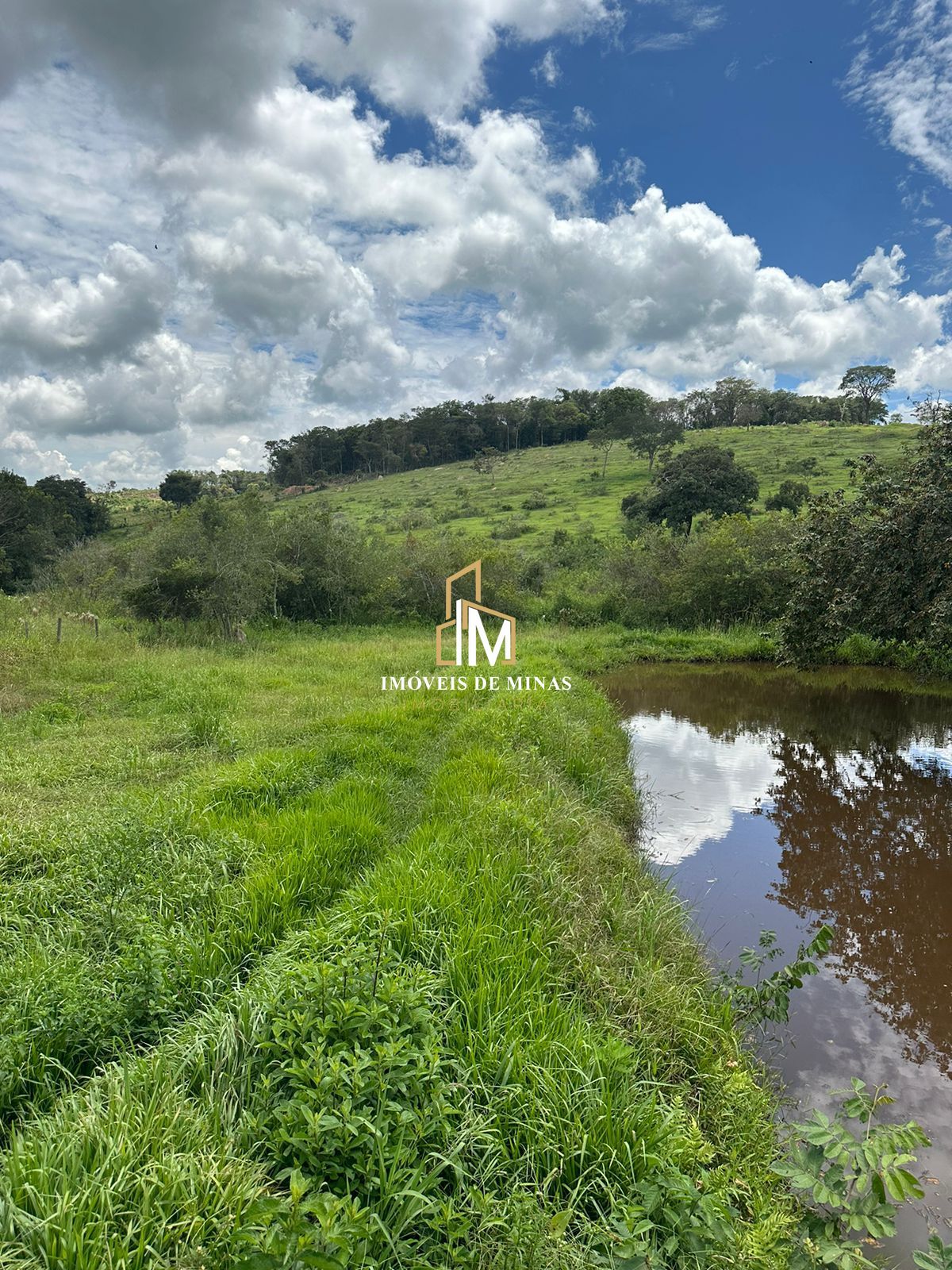 Fazenda à venda com 3 quartos, 260000000m² - Foto 16