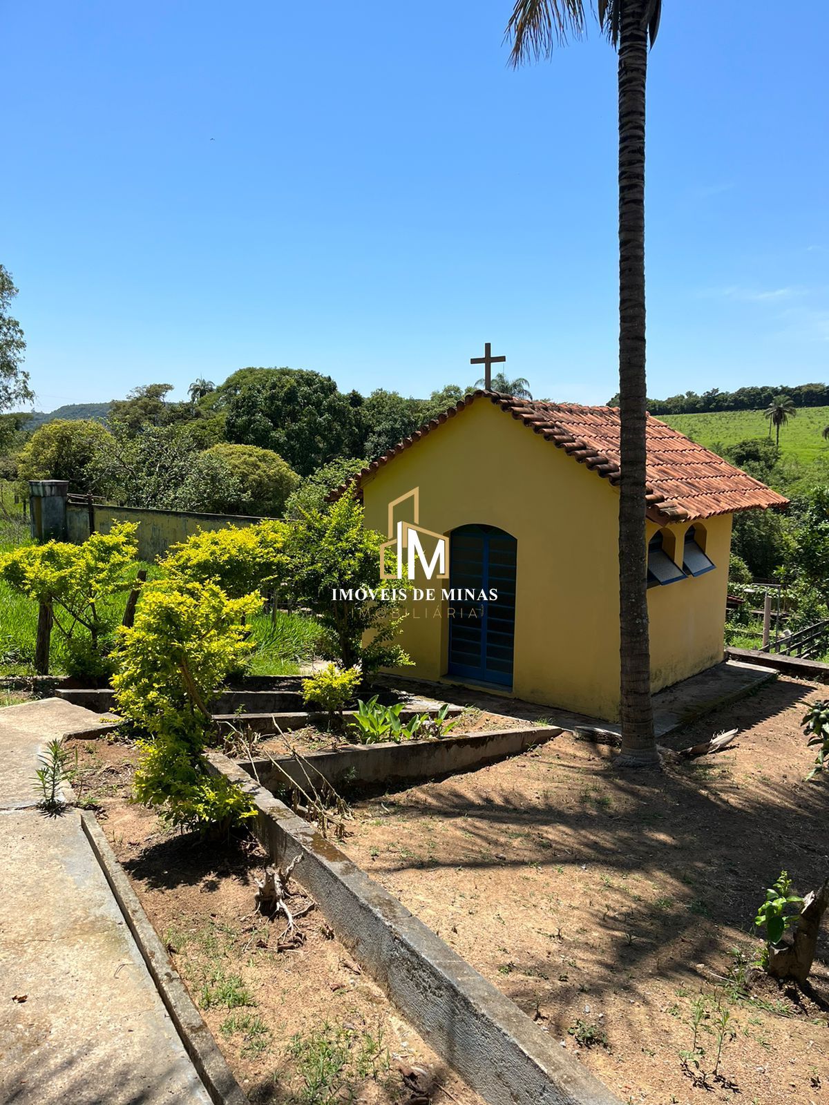 Fazenda à venda com 7 quartos, 14600000000m² - Foto 4