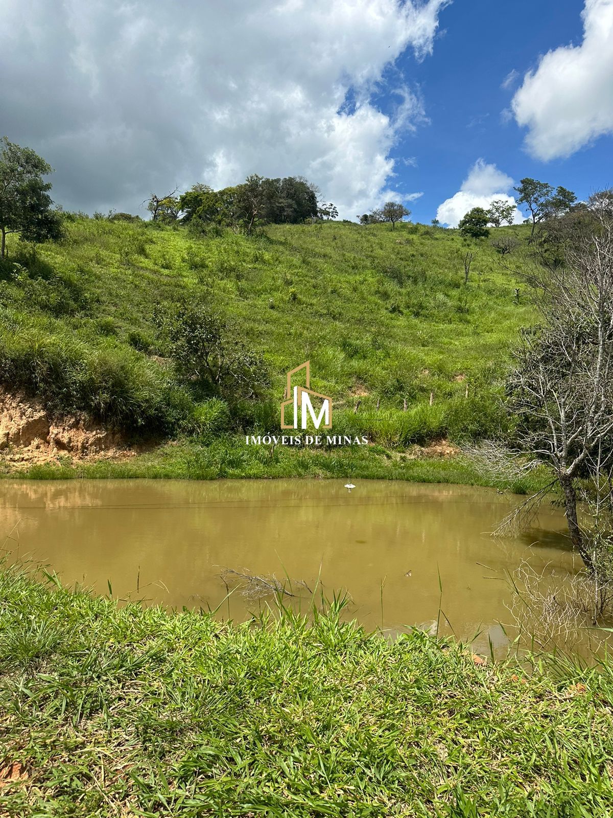 Fazenda à venda com 4 quartos, 4500000000m² - Foto 16