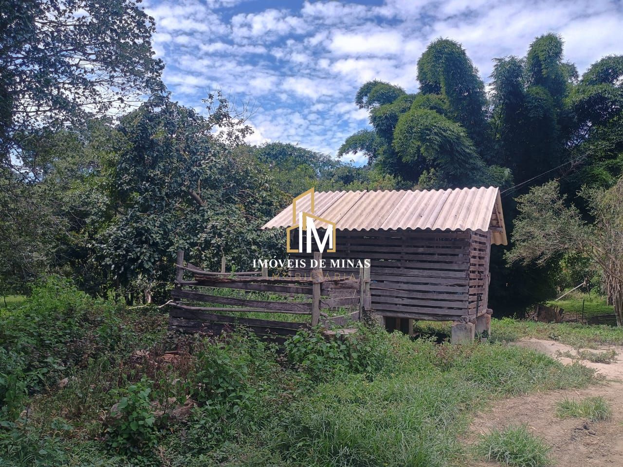 Fazenda à venda com 3 quartos, 270000m² - Foto 8