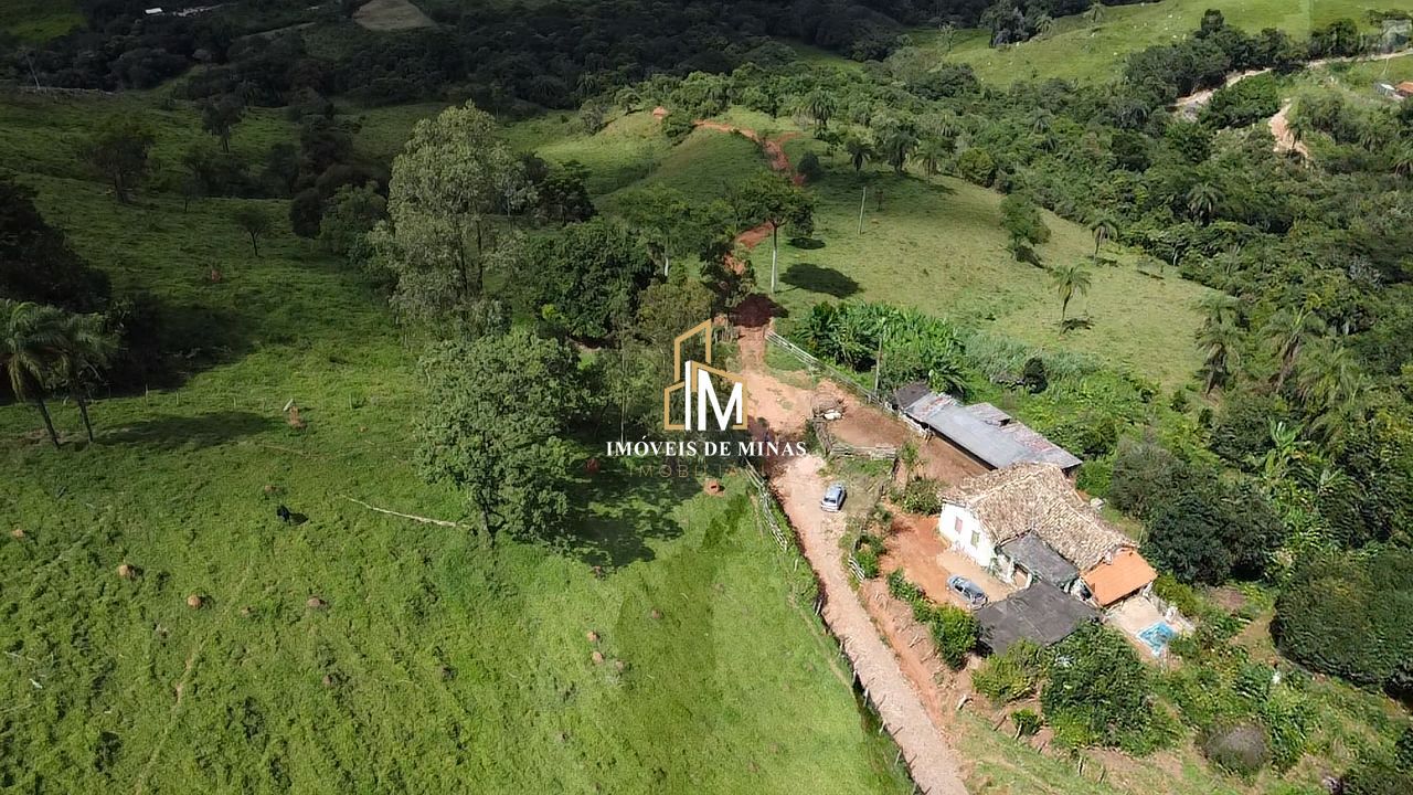 Fazenda à venda com 4 quartos, 4400000000m² - Foto 4