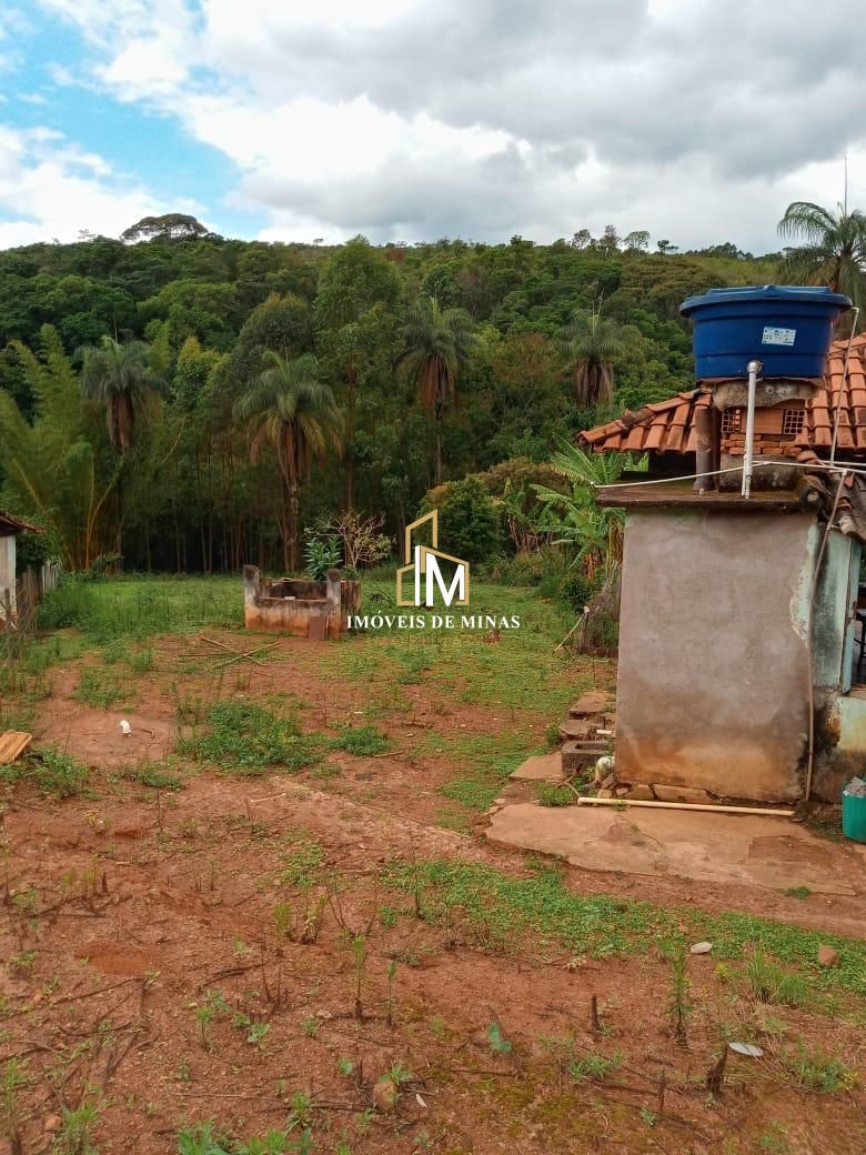 Fazenda à venda com 4 quartos, 6000m² - Foto 9