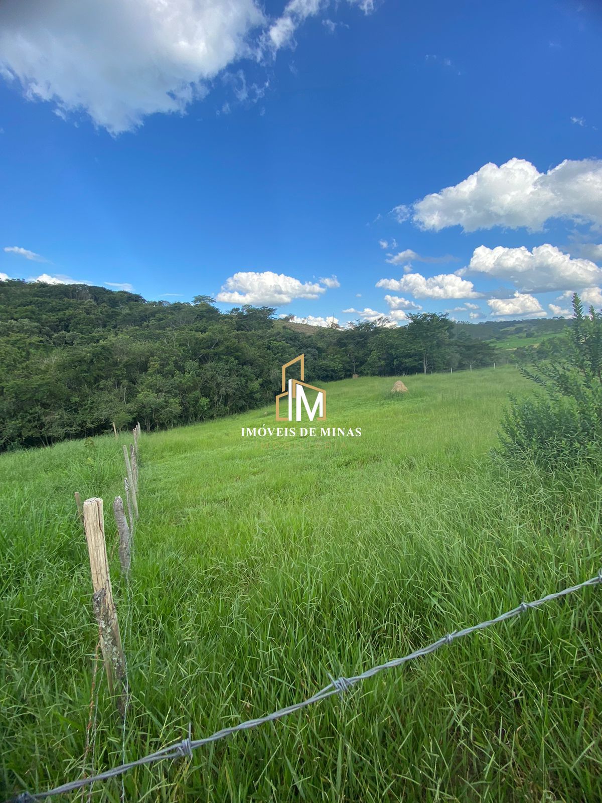 Terreno à venda, 3000m² - Foto 3