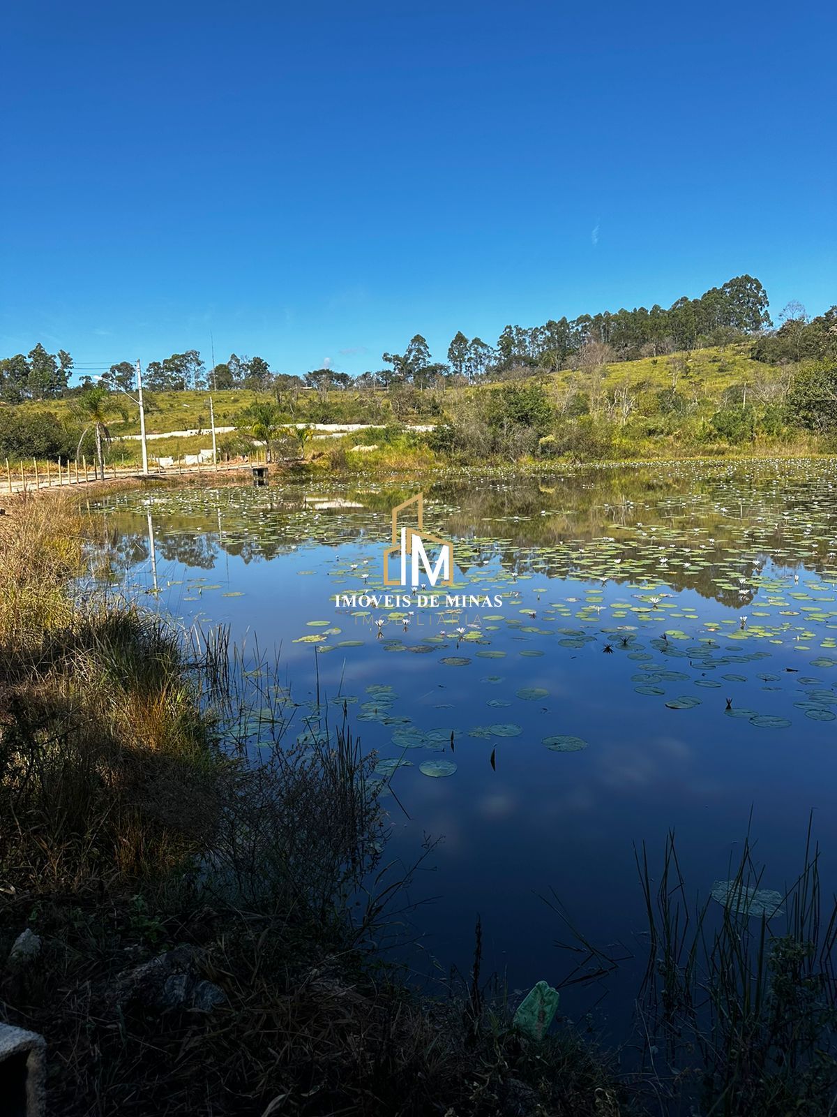 Fazenda à venda, 1000m² - Foto 5