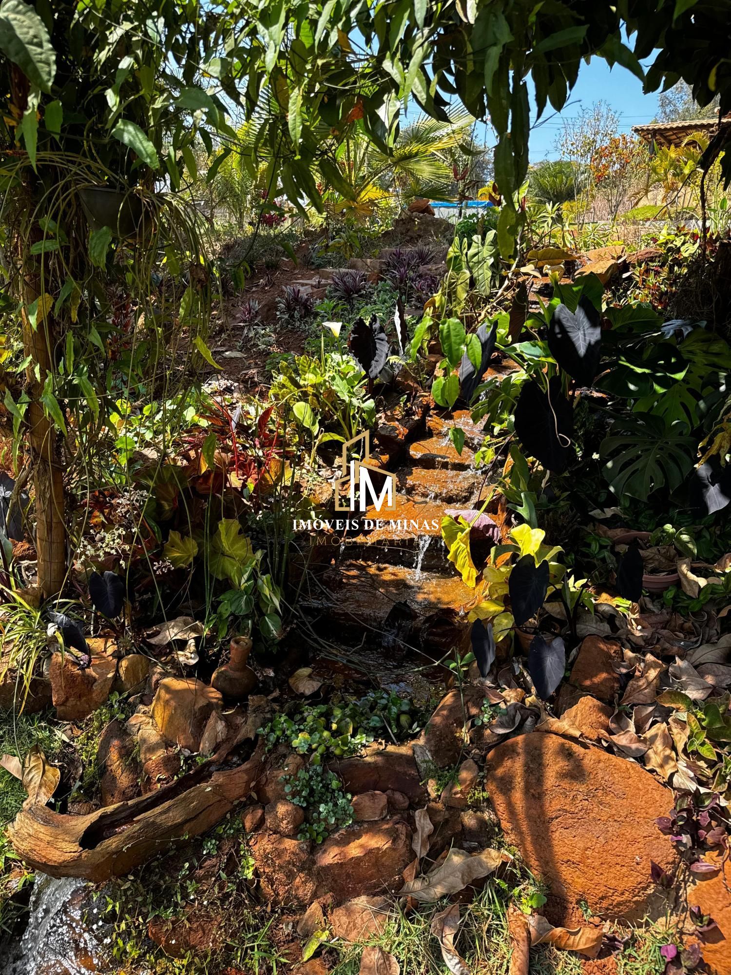 Fazenda à venda com 3 quartos, 2000m² - Foto 12