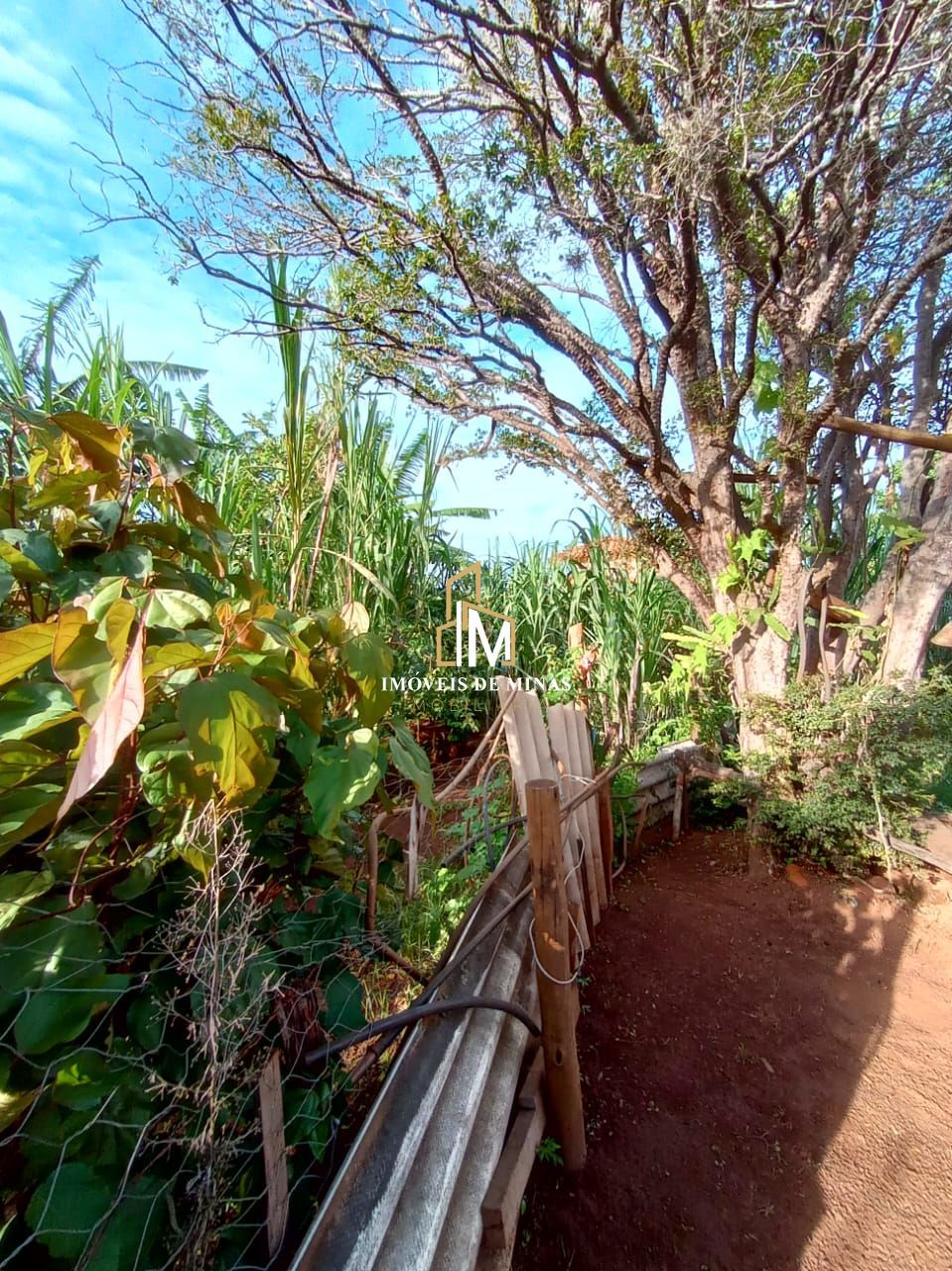 Sítio à venda com 1 quarto, 1000m² - Foto 8