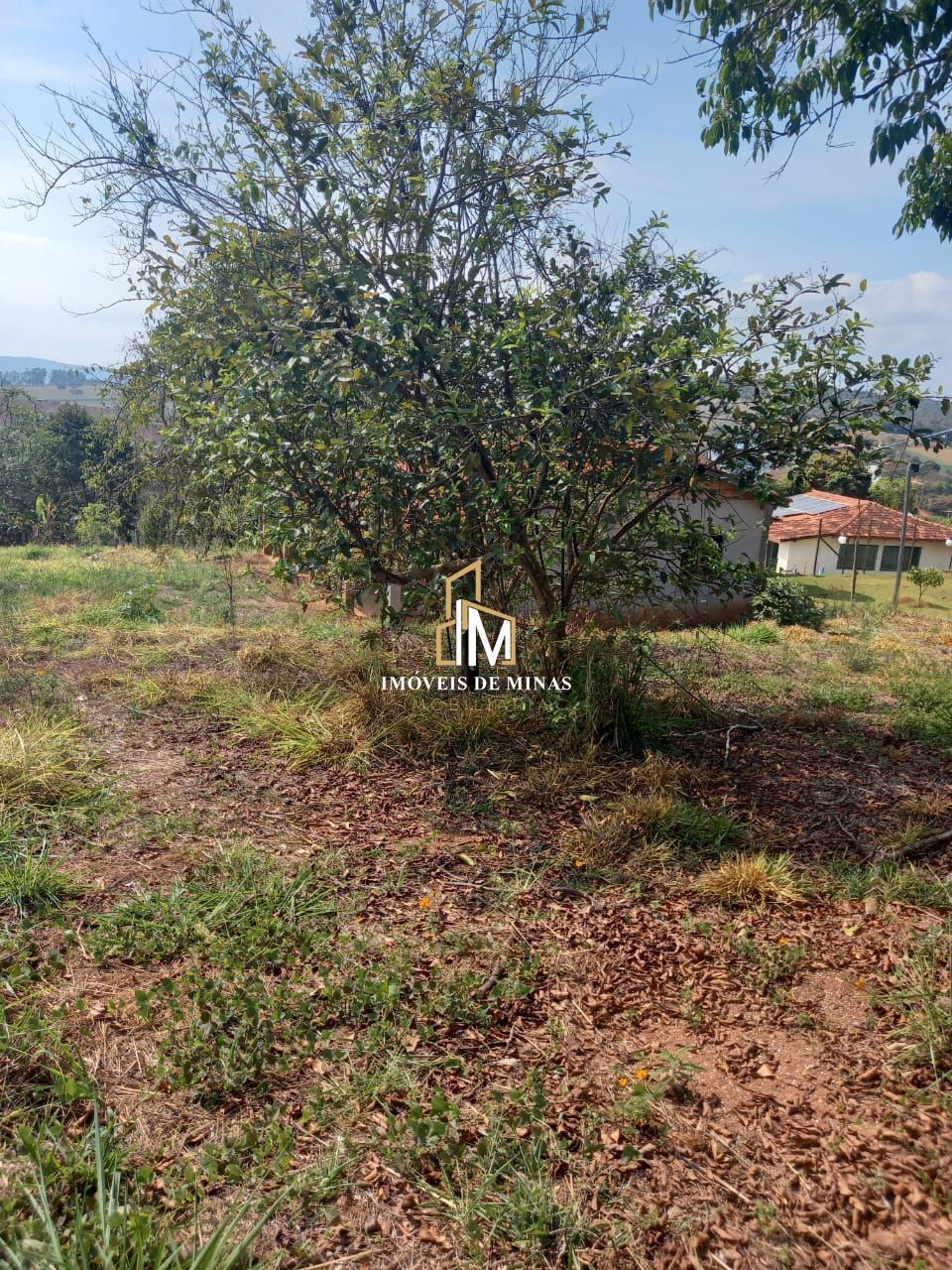 Chácara à venda com 2 quartos, 2514m² - Foto 17