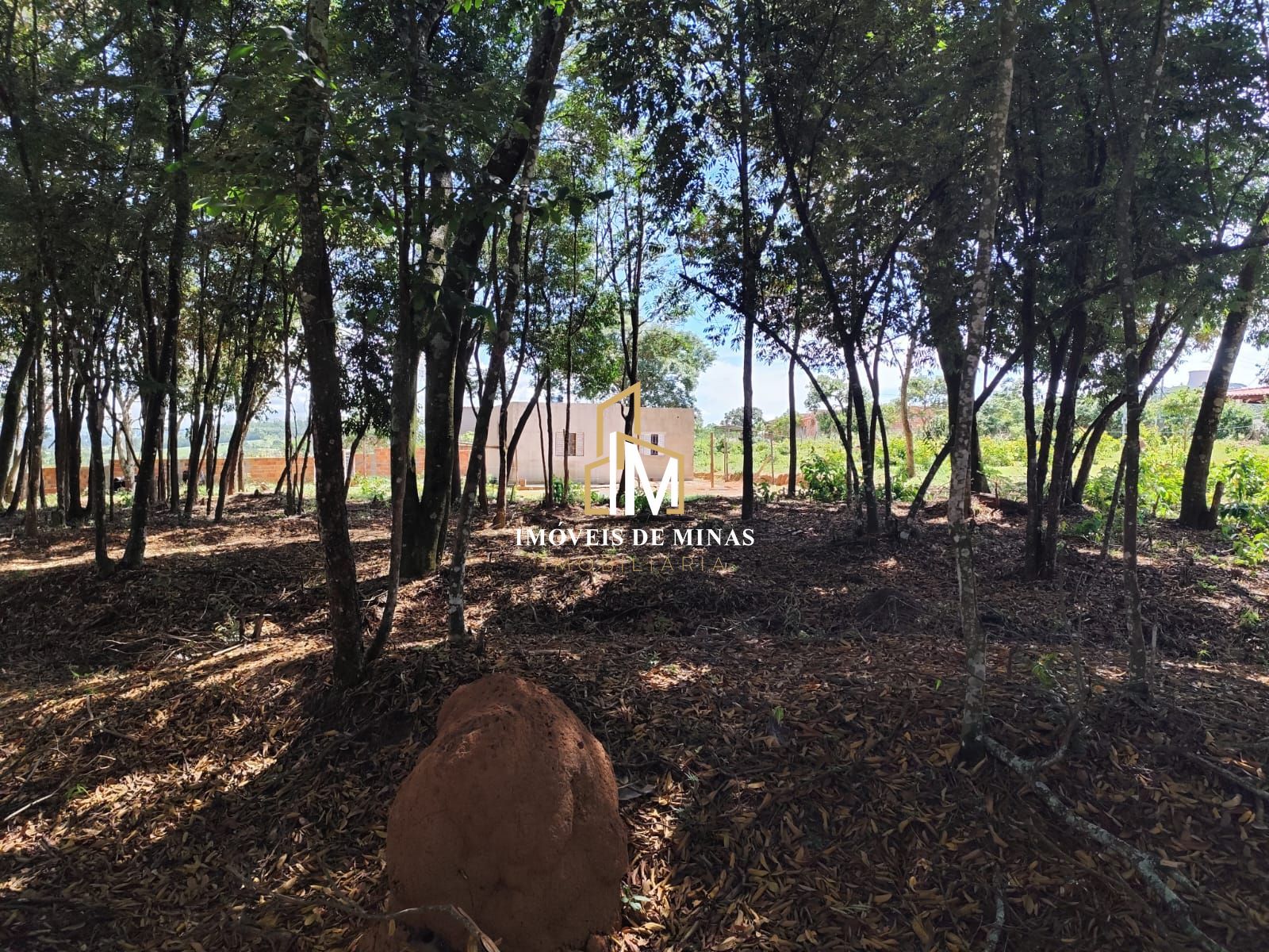Fazenda à venda com 2 quartos, 1800m² - Foto 11