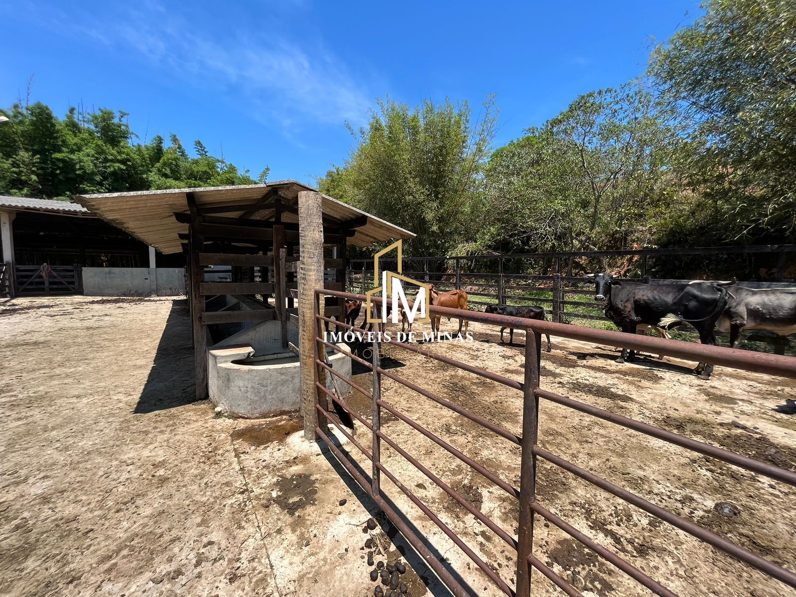 Fazenda à venda com 7 quartos, 14600000000m² - Foto 8