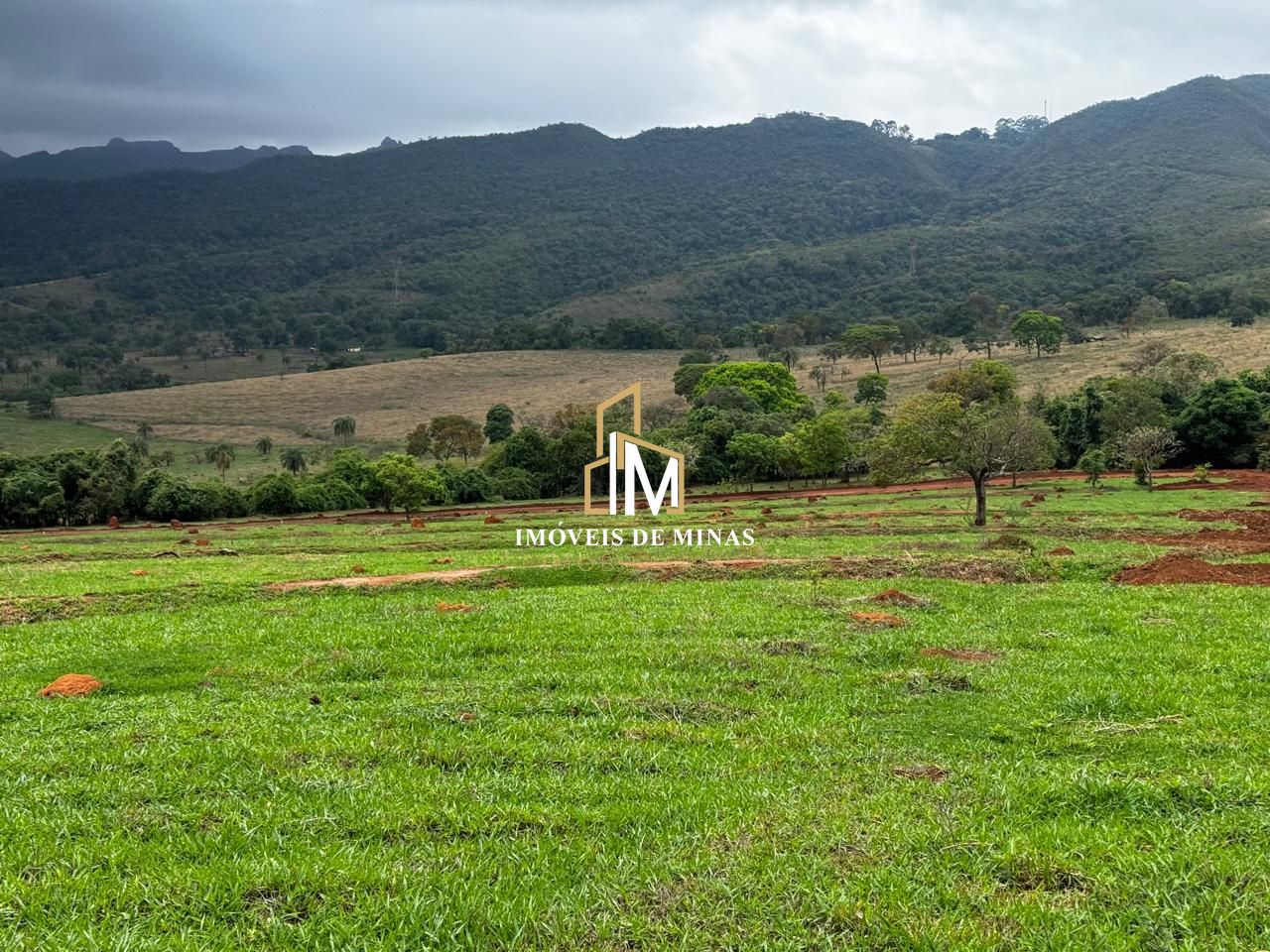 img60363592