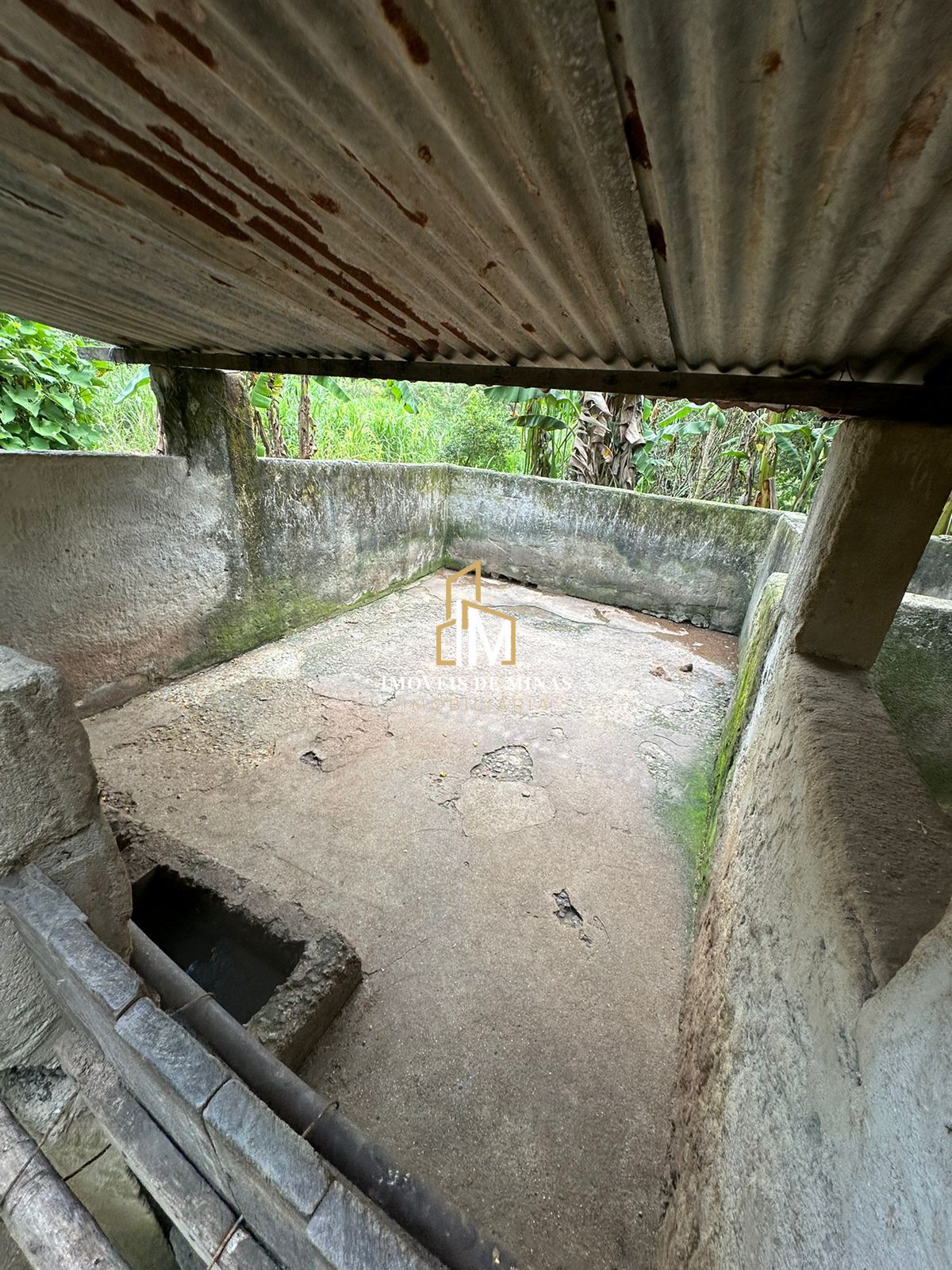 Fazenda à venda com 3 quartos, 260000000m² - Foto 22