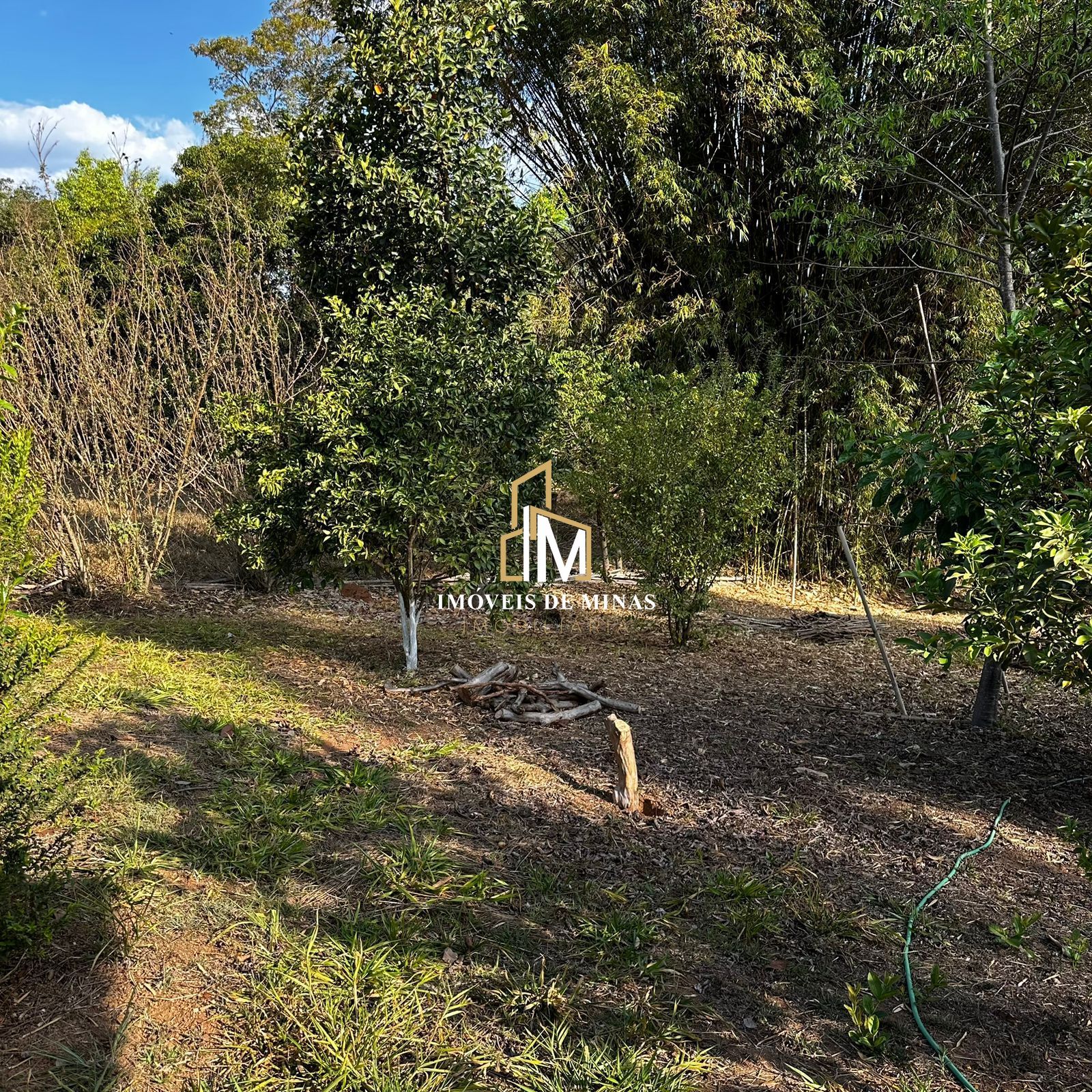 Fazenda à venda com 3 quartos, 35000m² - Foto 13