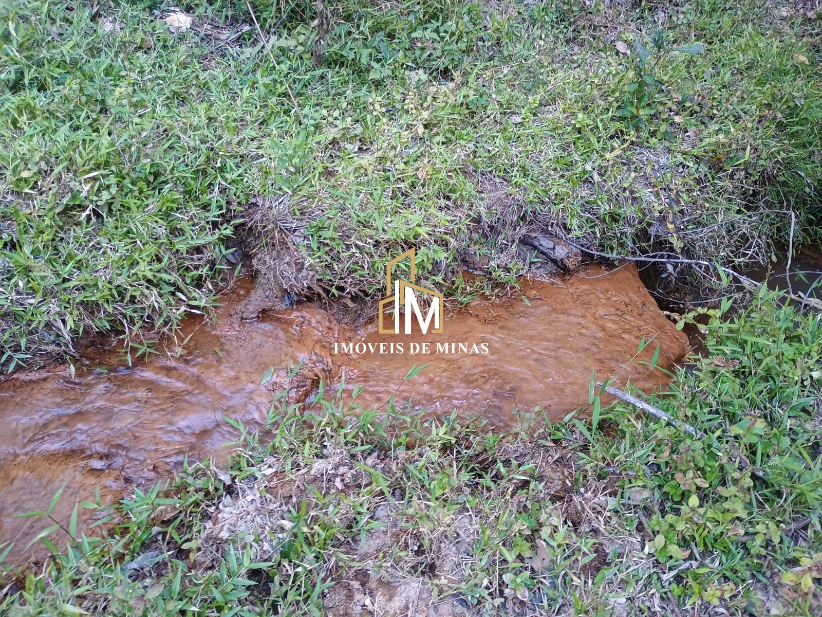 img46445281