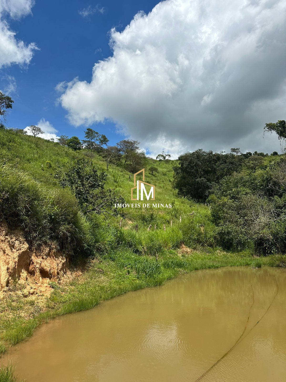 Fazenda à venda com 4 quartos, 4500000000m² - Foto 18