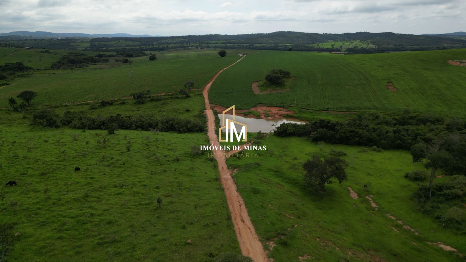 Fazenda à venda com 2 quartos, 17500000000m² - Foto 8