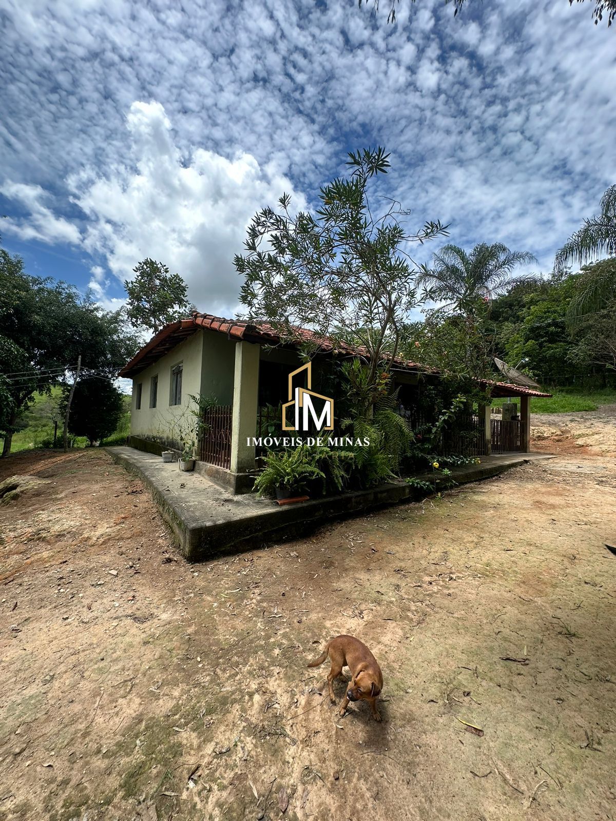 Fazenda à venda com 3 quartos, 260000000m² - Foto 6