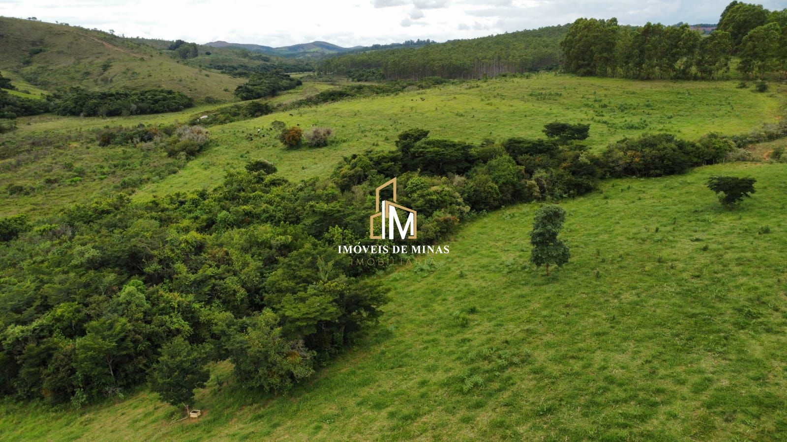 Fazenda à venda com 1 quarto, 380000m² - Foto 10