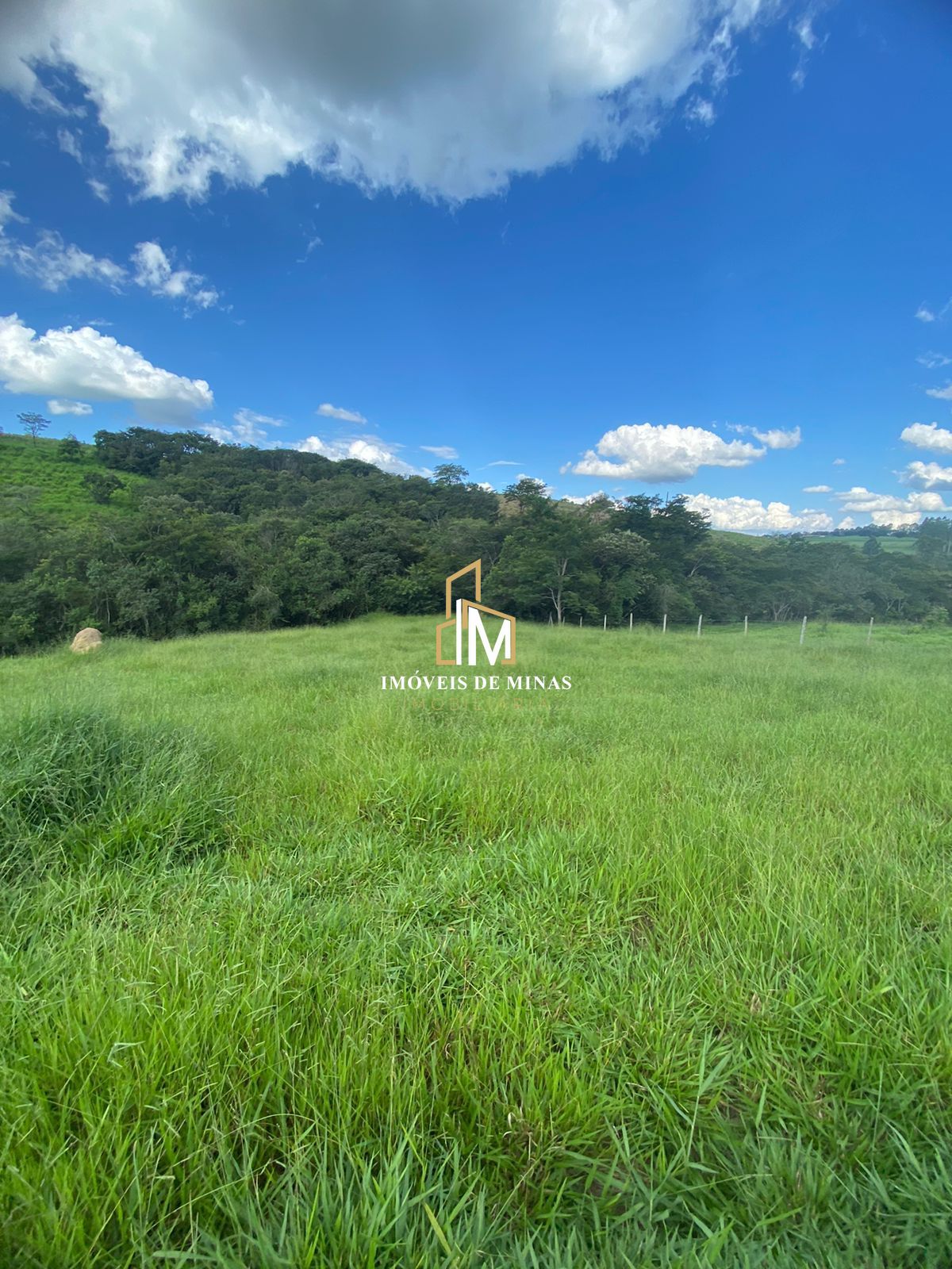 Terreno à venda, 3000m² - Foto 1