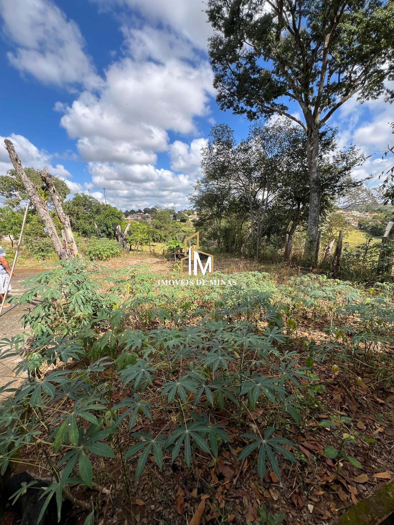 Fazenda à venda com 2 quartos, 1238m² - Foto 17