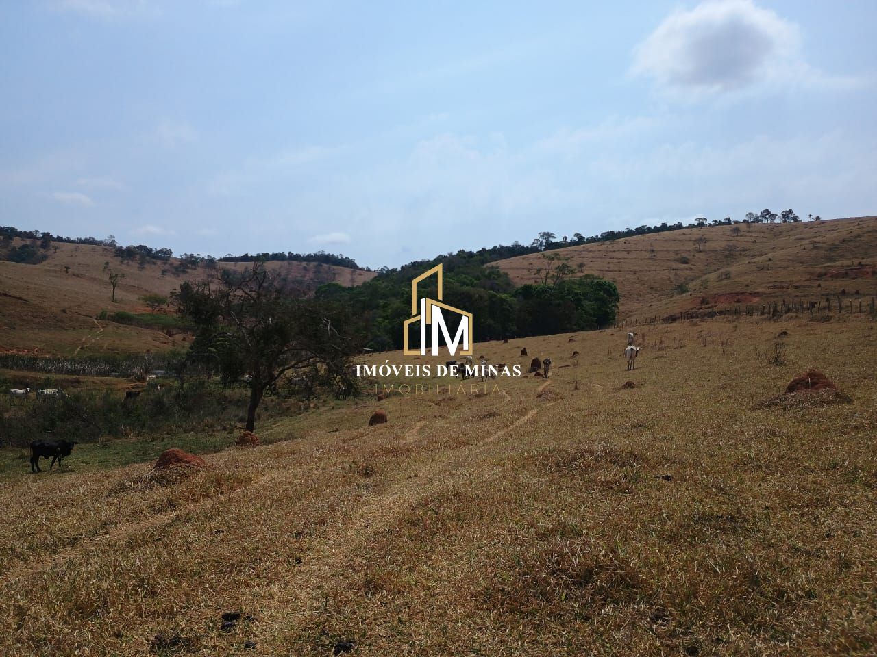 img57870273