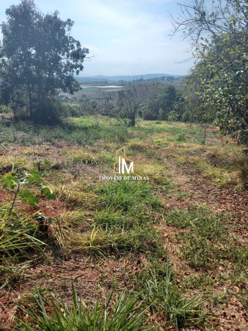 Chácara à venda com 2 quartos, 2514m² - Foto 19