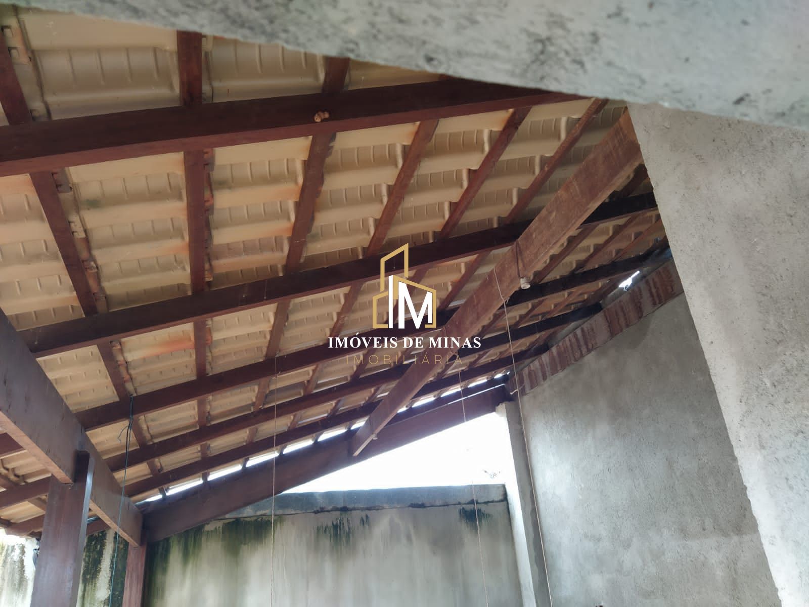 img31947775