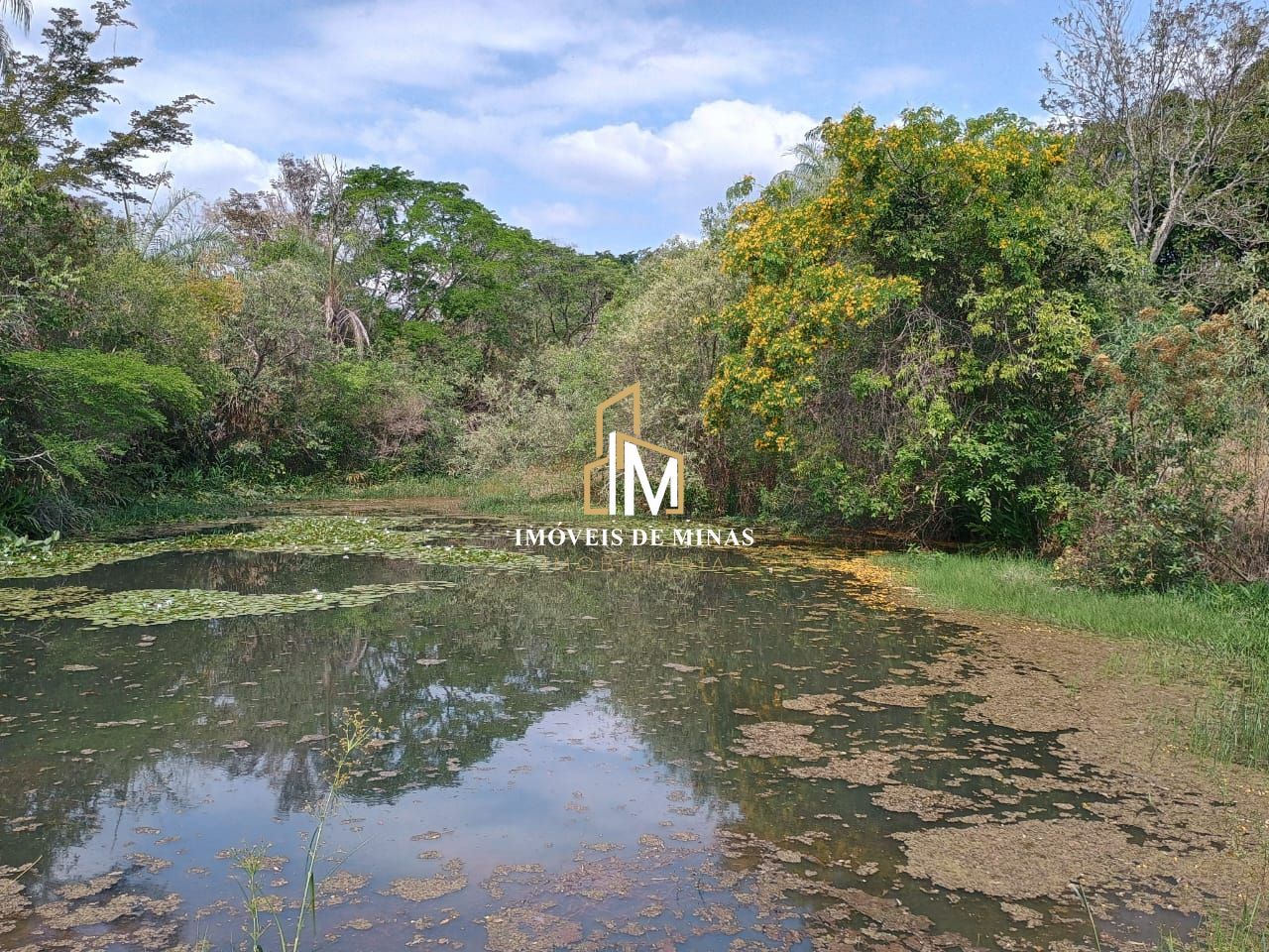 Fazenda à venda com 3 quartos, 780000m² - Foto 10