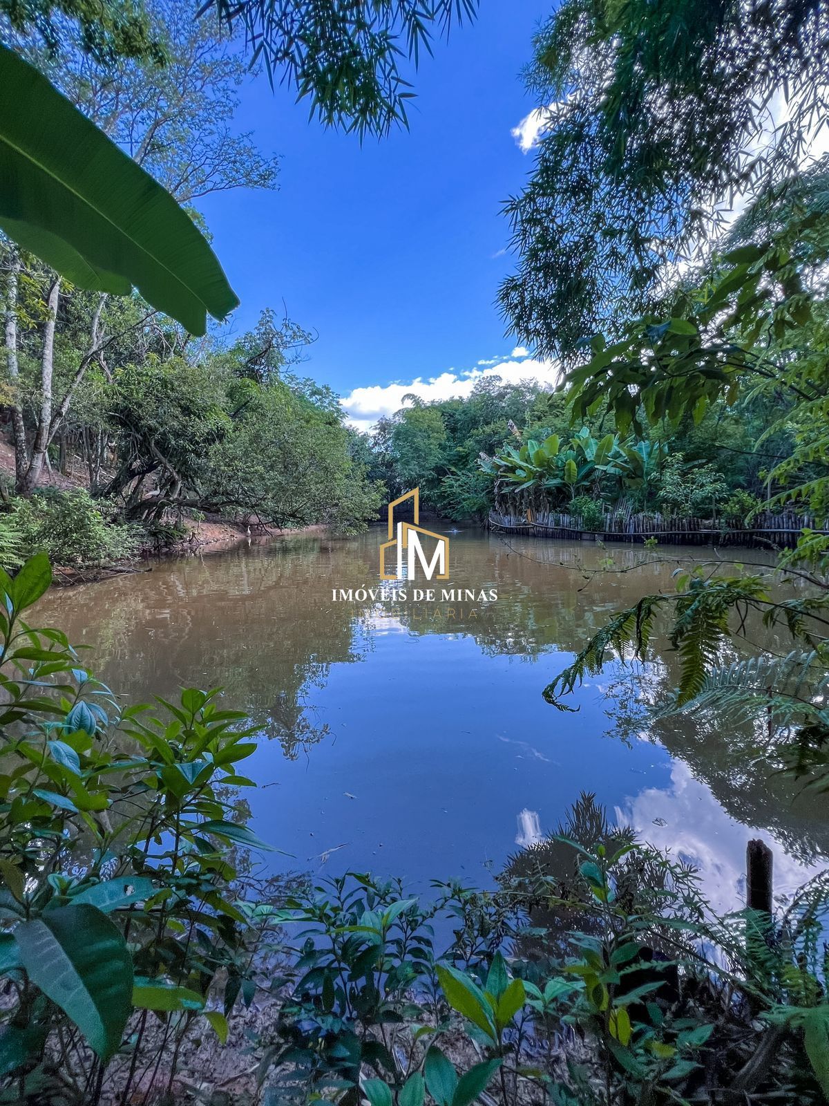 Sítio à venda com 4 quartos, 12000m² - Foto 20