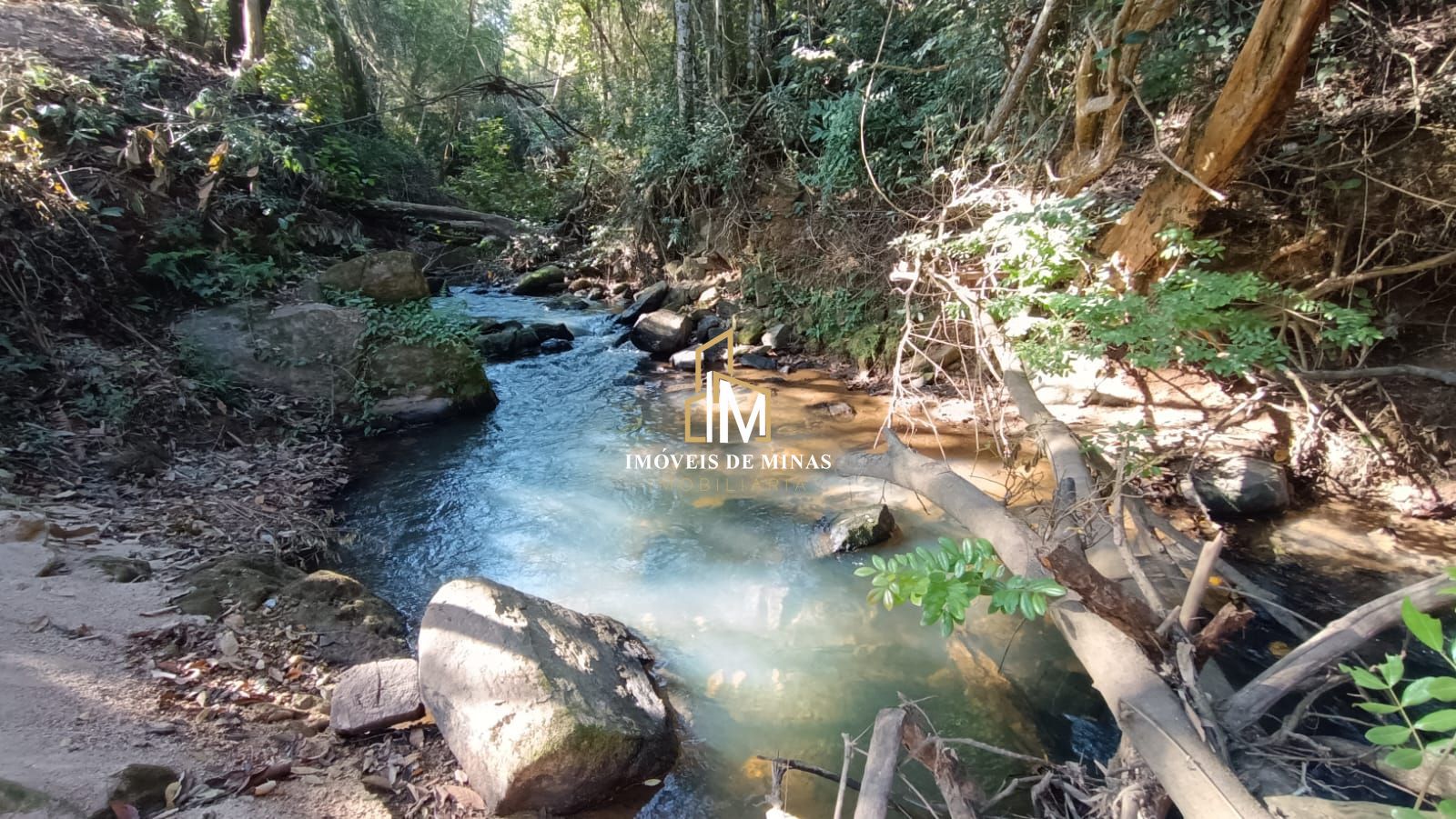 Fazenda à venda com 3 quartos, 1250m² - Foto 8