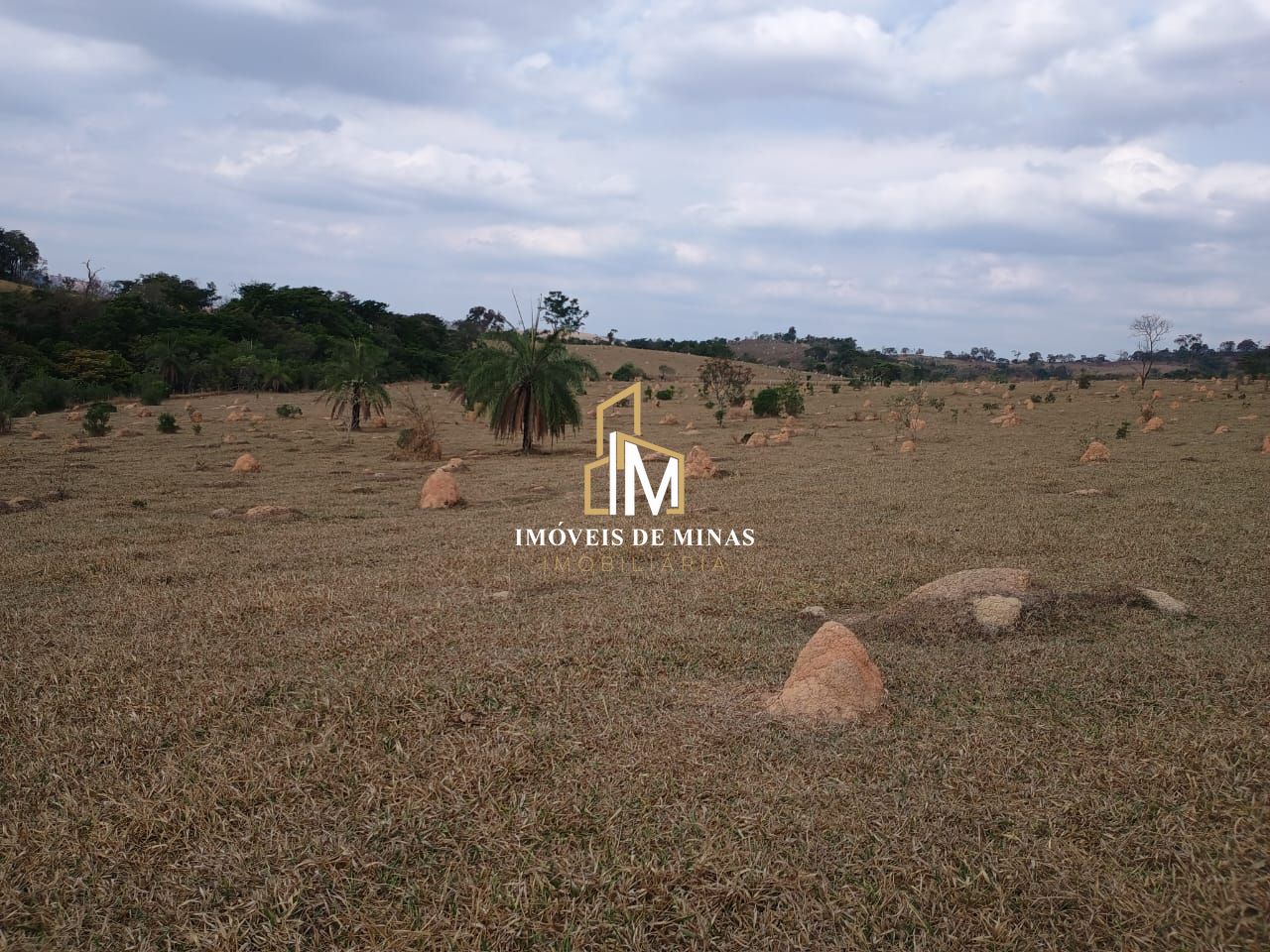 Fazenda à venda com 3 quartos, 7800000000m² - Foto 1