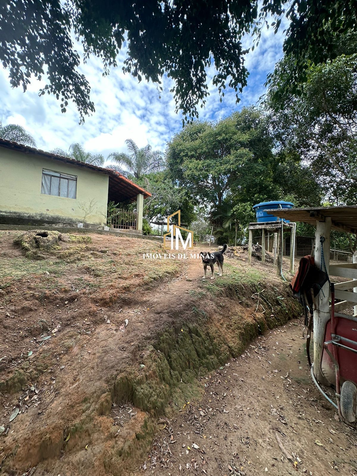 Fazenda à venda com 3 quartos, 260000000m² - Foto 8