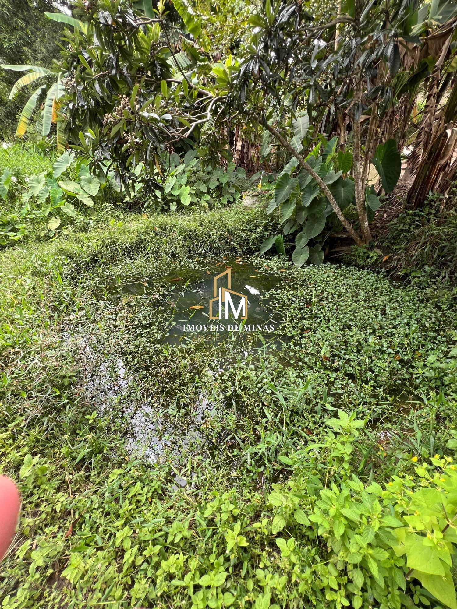 Fazenda à venda com 3 quartos, 19000m² - Foto 22