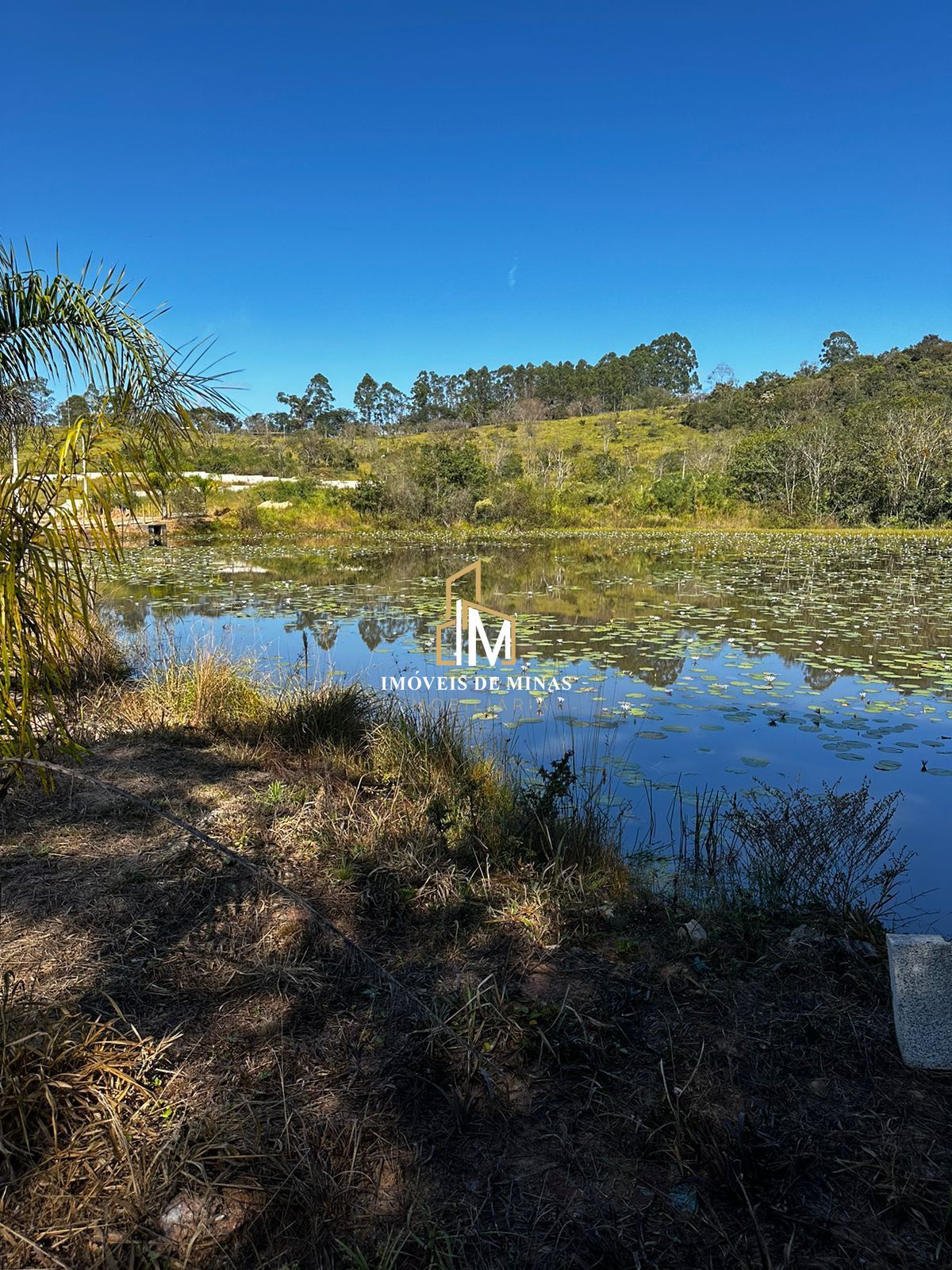 Fazenda à venda, 1000m² - Foto 6