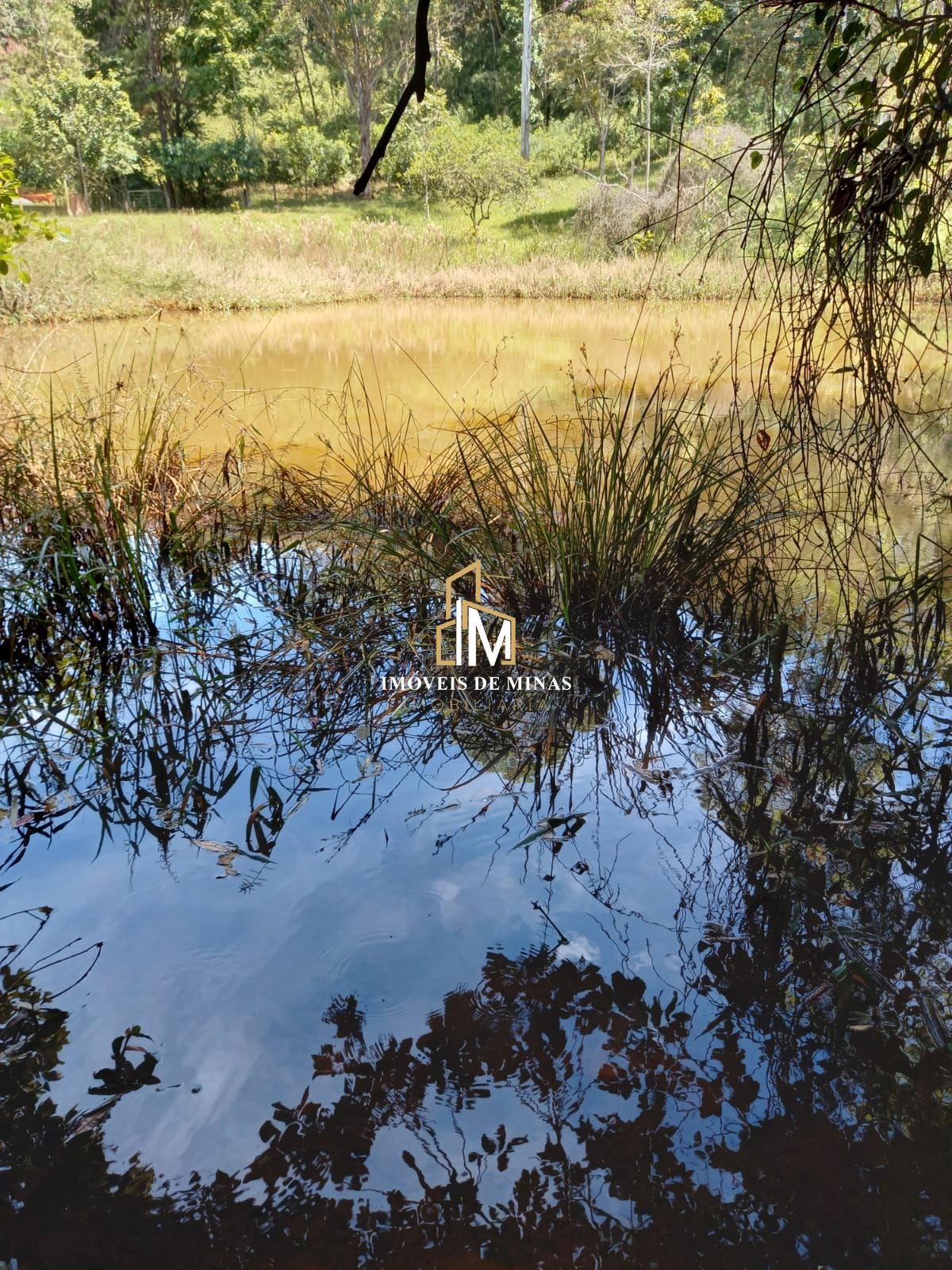 img30779709
