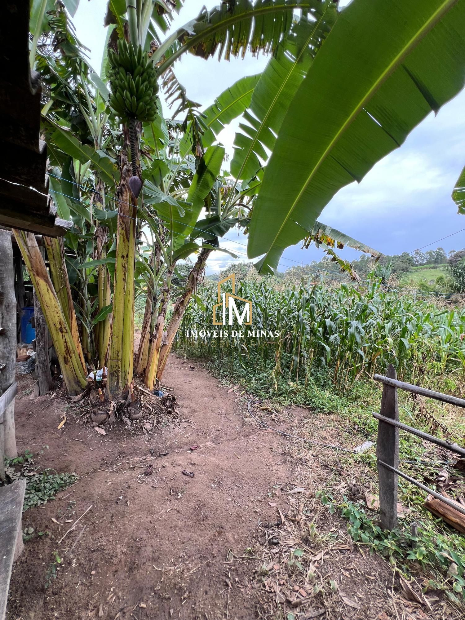 Fazenda à venda com 3 quartos, 19000m² - Foto 17