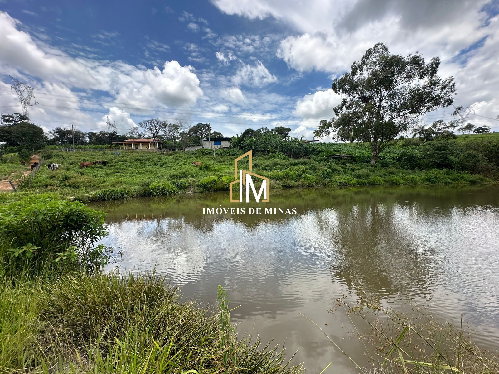 Fazenda à venda com 4 quartos, 1500000000m² - Foto 17