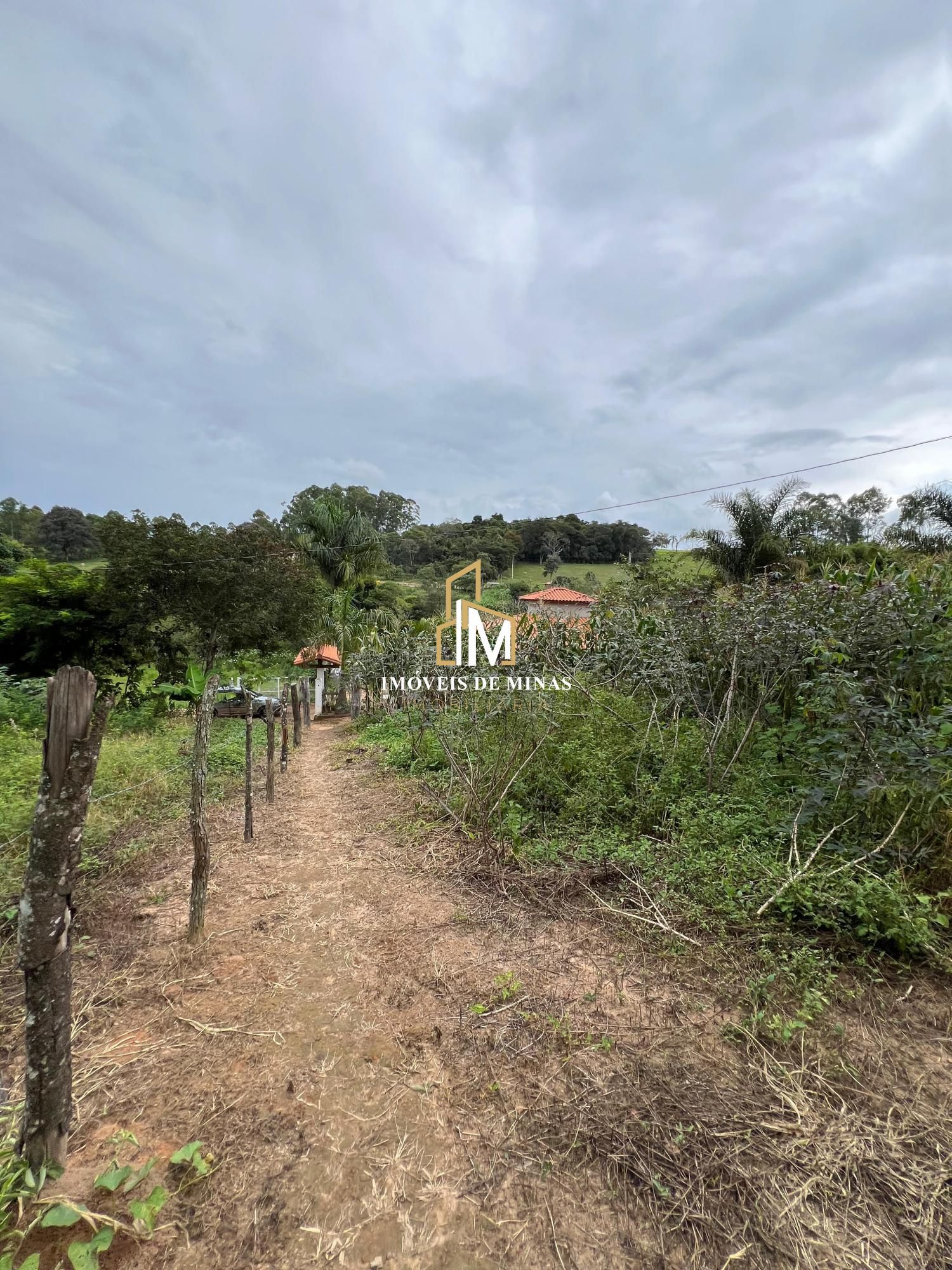 Fazenda à venda com 3 quartos, 19000m² - Foto 15