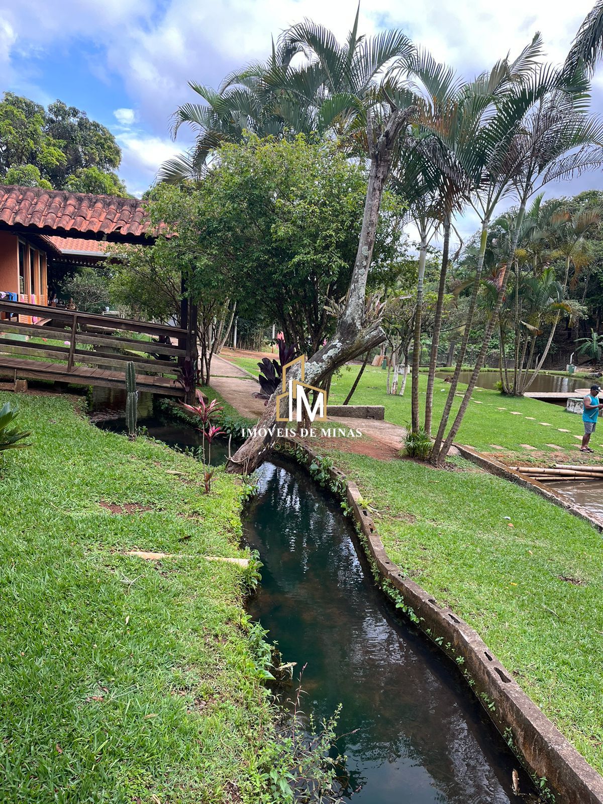 Fazenda à venda com 4 quartos, 16000m² - Foto 8