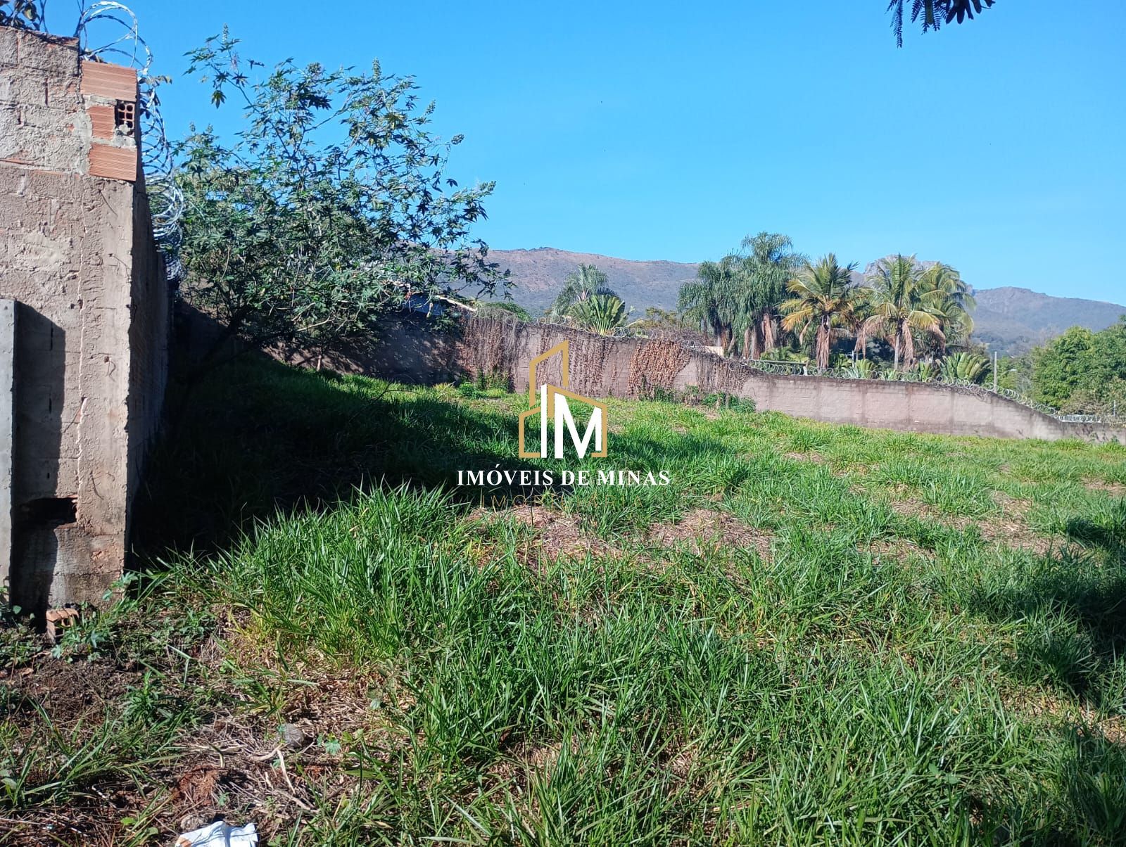 img48516487