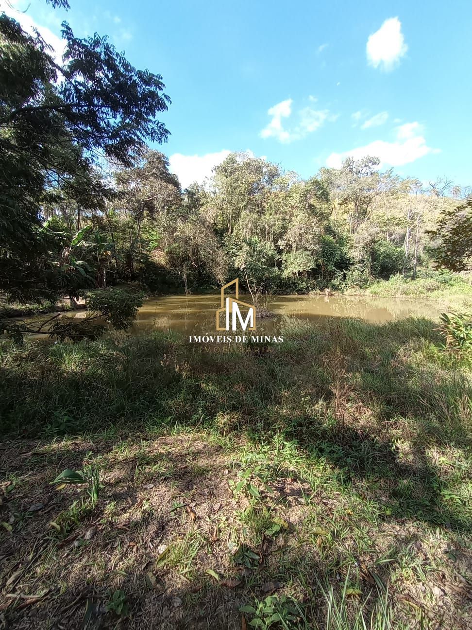 Sítio à venda com 5 quartos, 3600m² - Foto 16