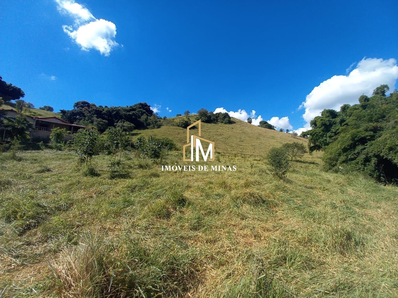 Fazenda à venda com 3 quartos, 80000m² - Foto 10