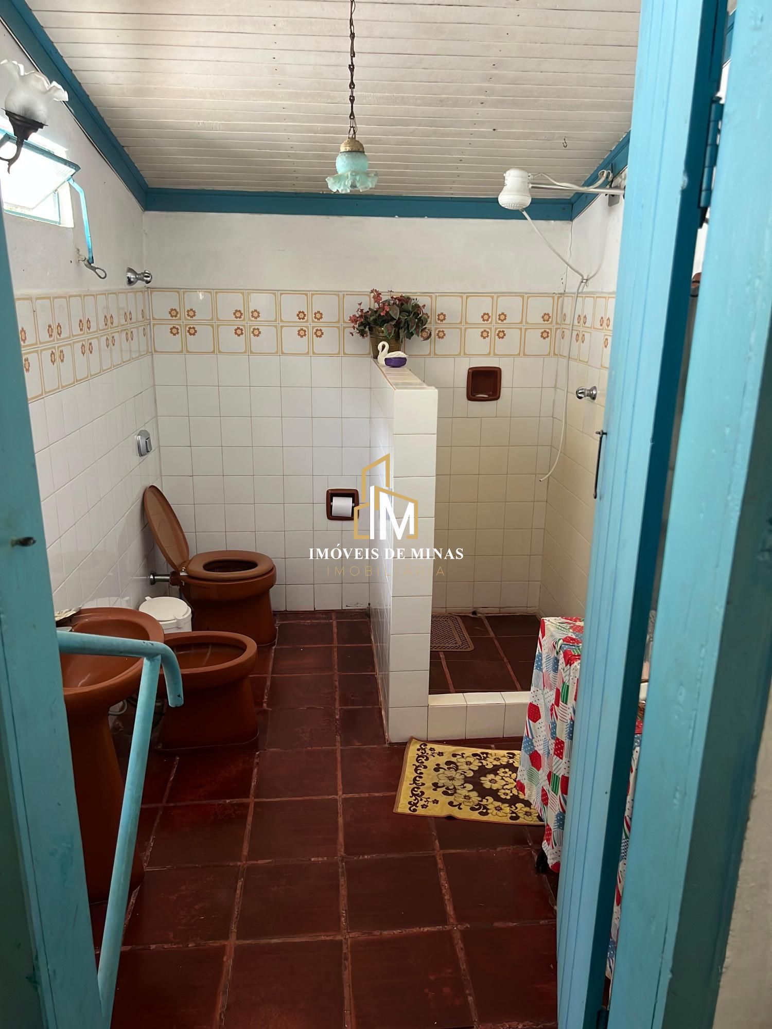img74229808