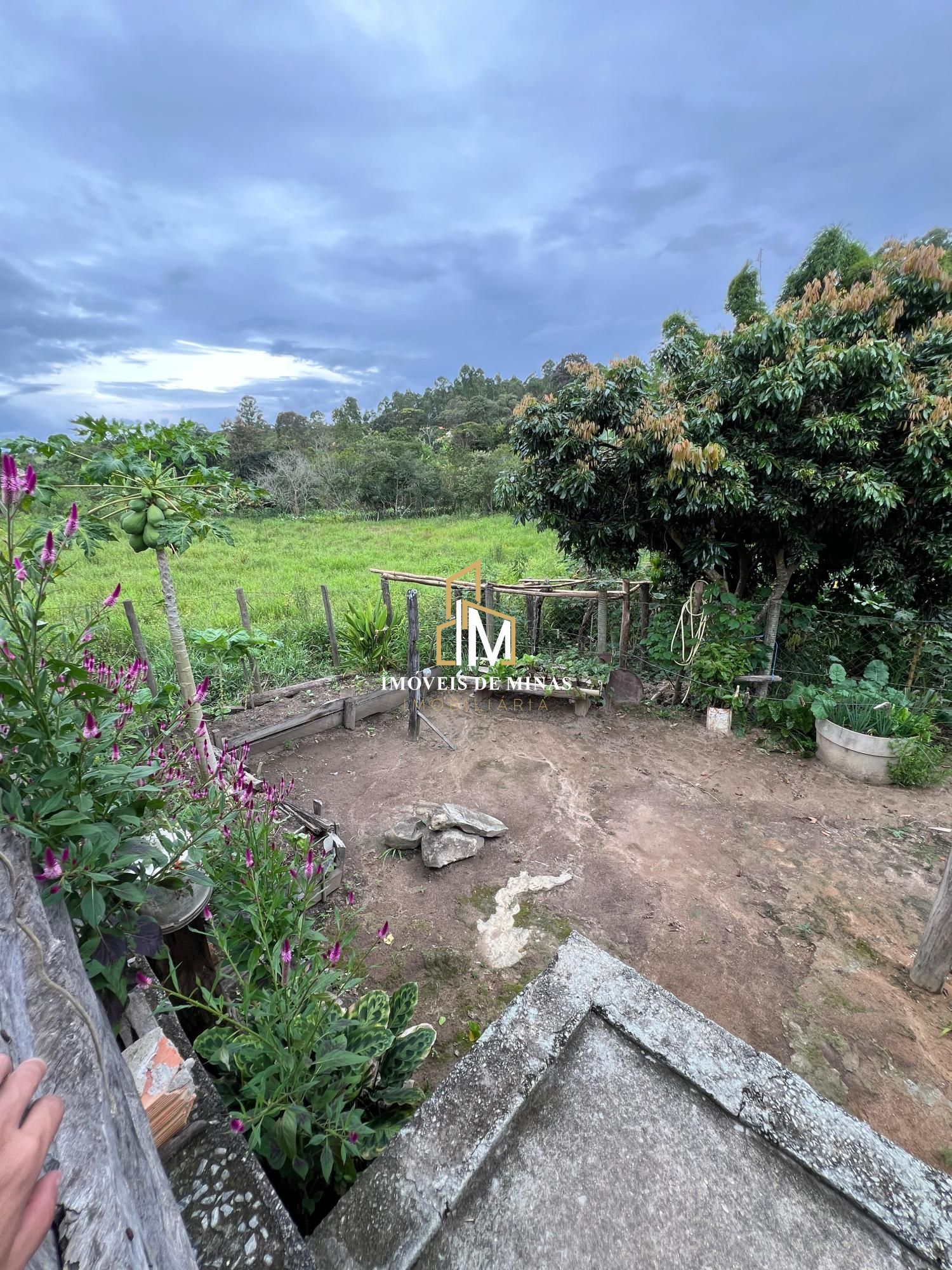 Fazenda à venda com 3 quartos, 19000m² - Foto 21