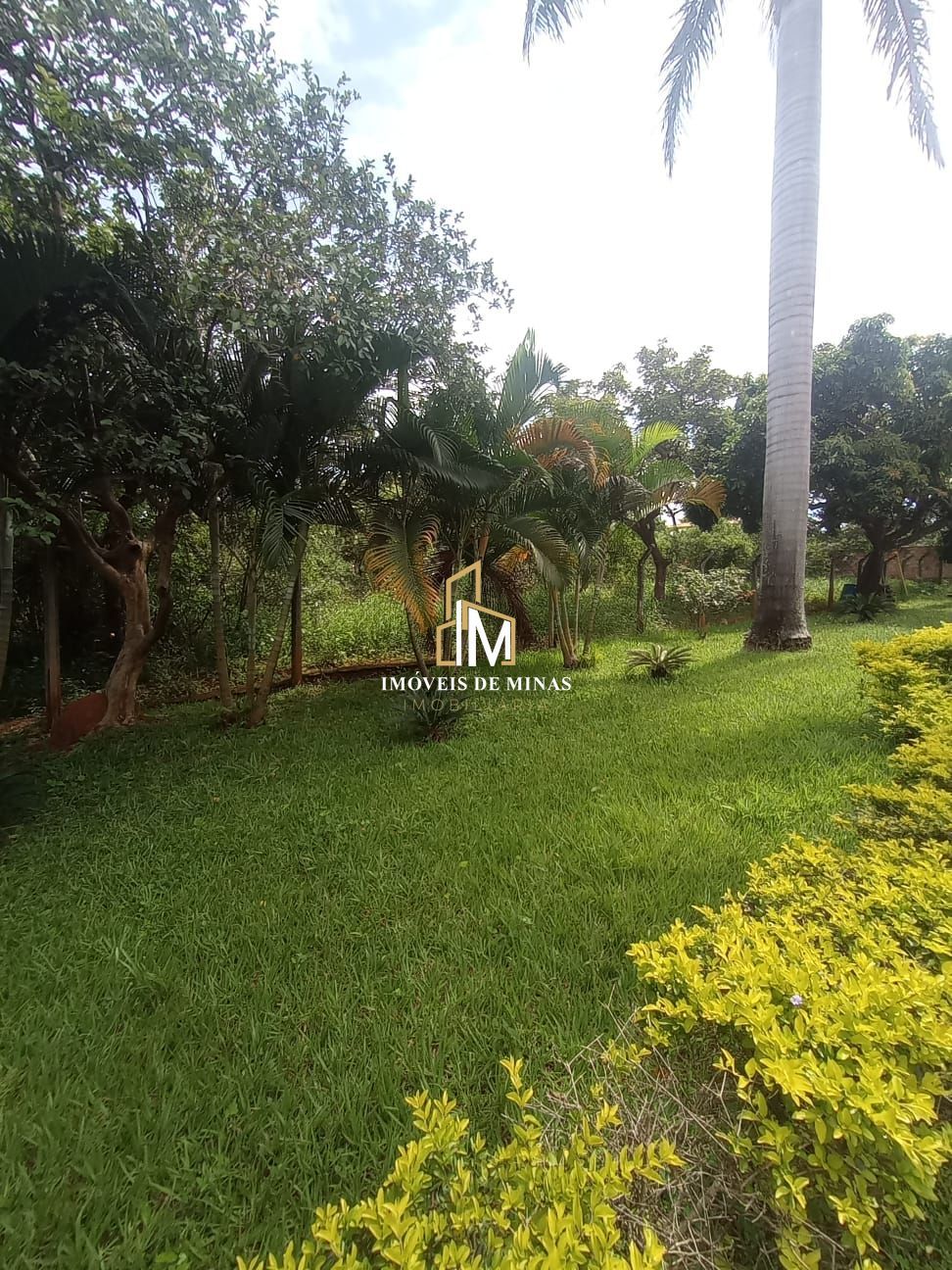 Sítio à venda com 3 quartos, 1054m² - Foto 15
